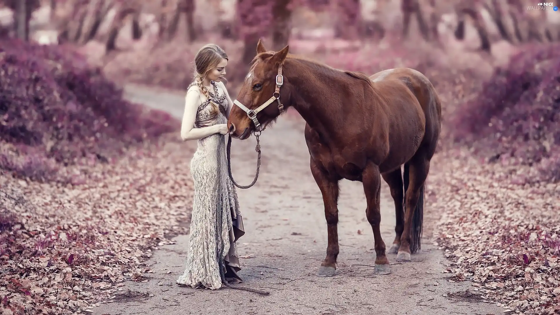 Path, Women, Horse