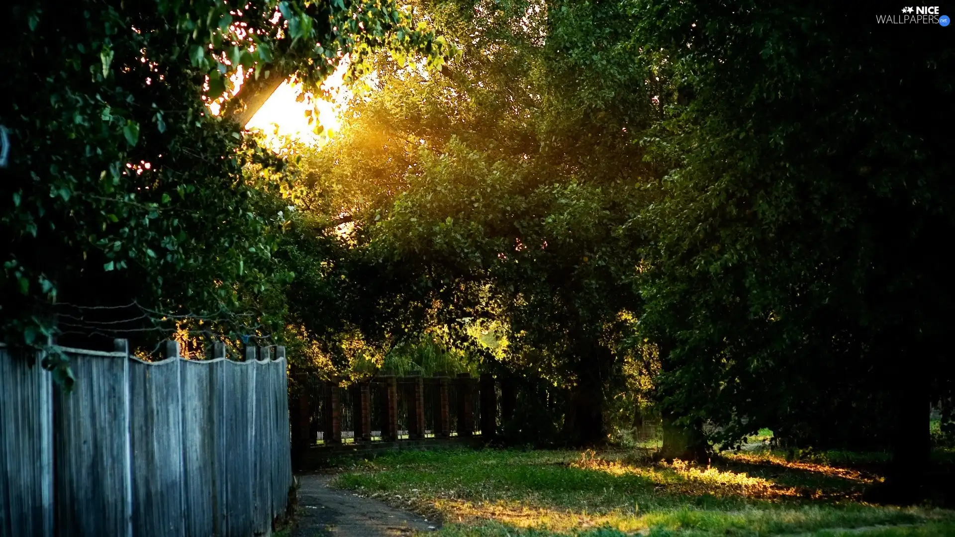 Path, Lawn, trees, viewes, Fance