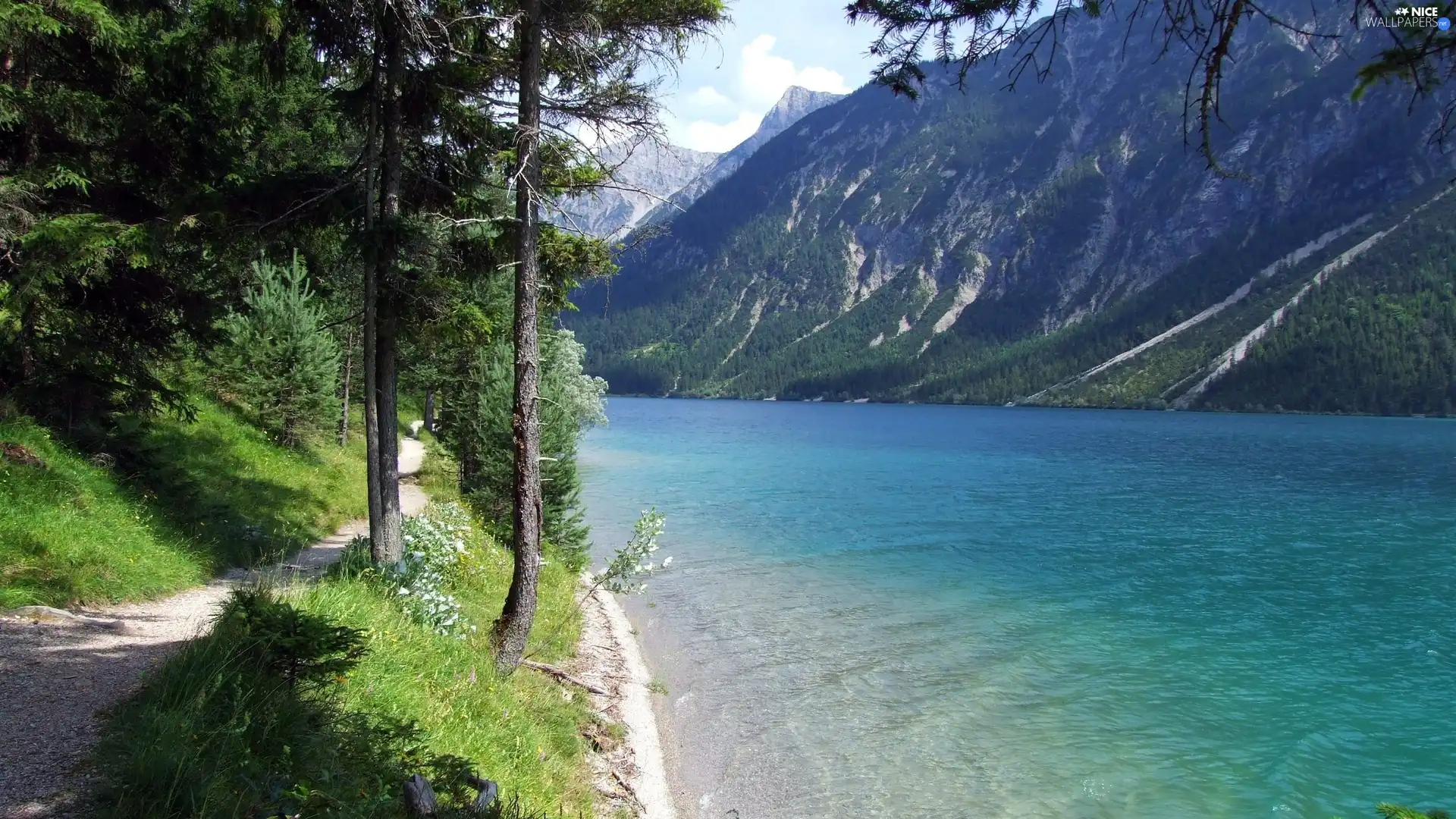 Mountains, forest, Path, River