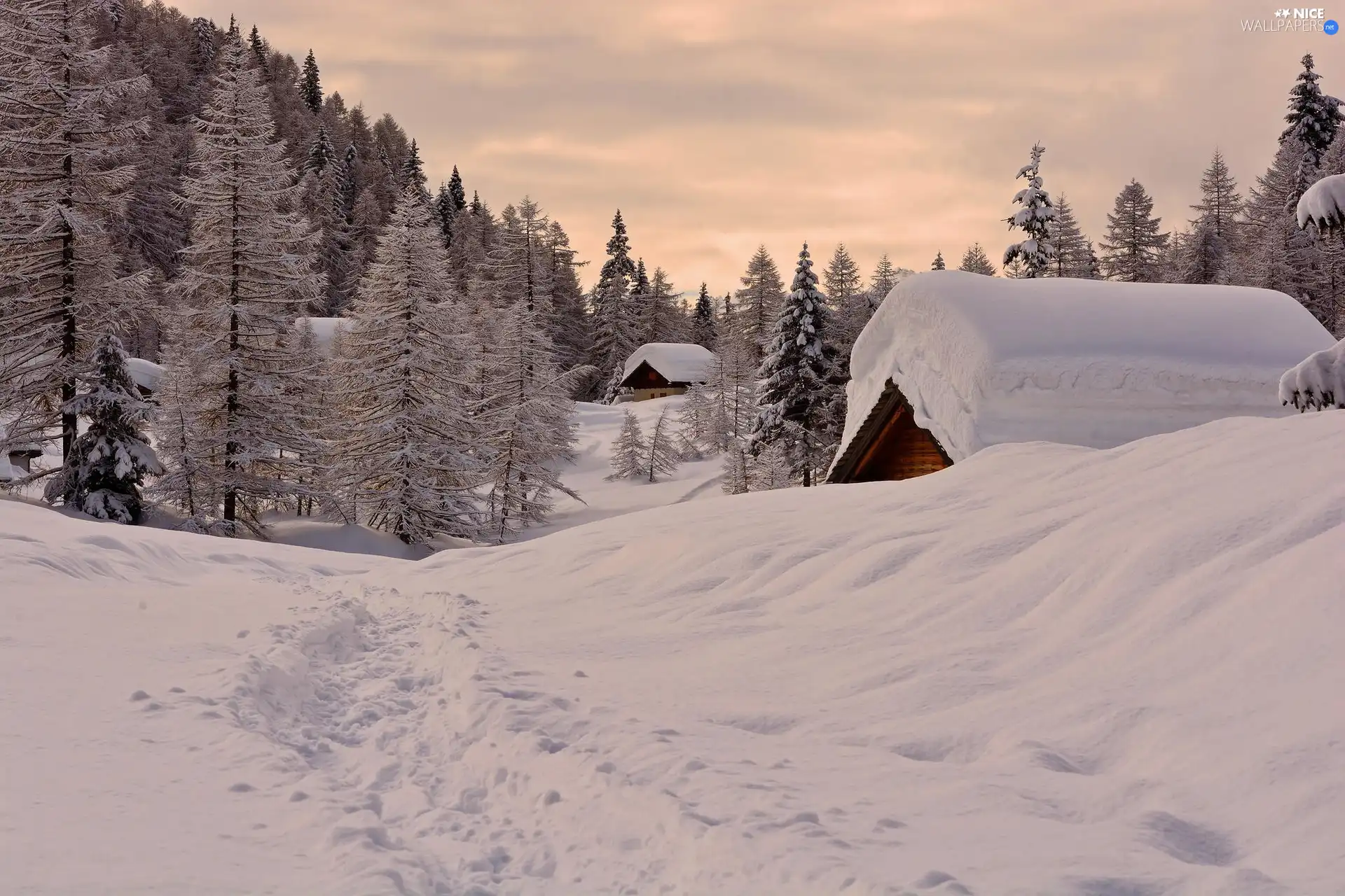 Path, winter, mountains, forest, Houses