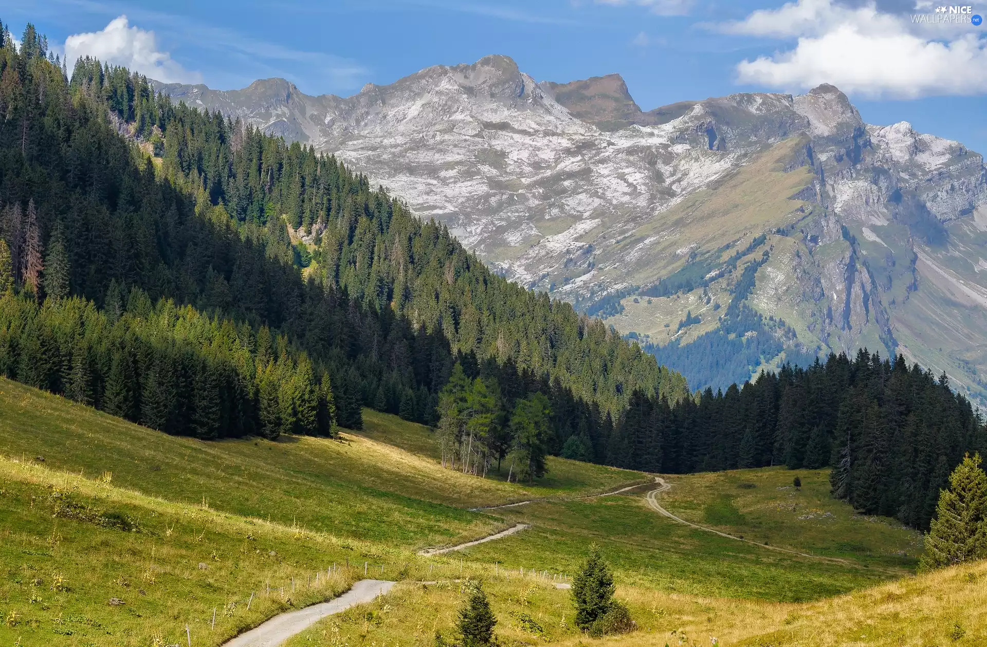 Meadow, Paths, woods, Valley, Mountains