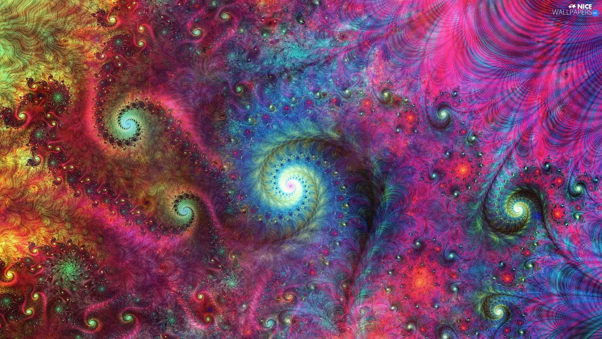 patterns, spirals, Fraktal