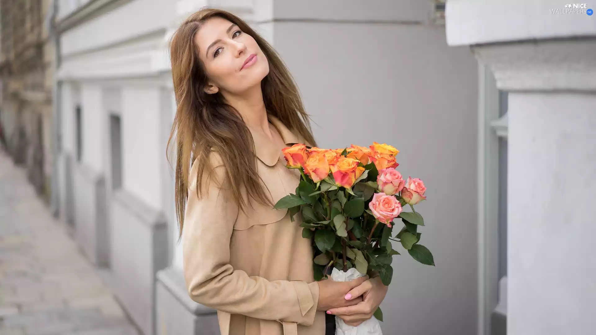 Flowers, Women, house, light brown, longhaired, roses, Pavement