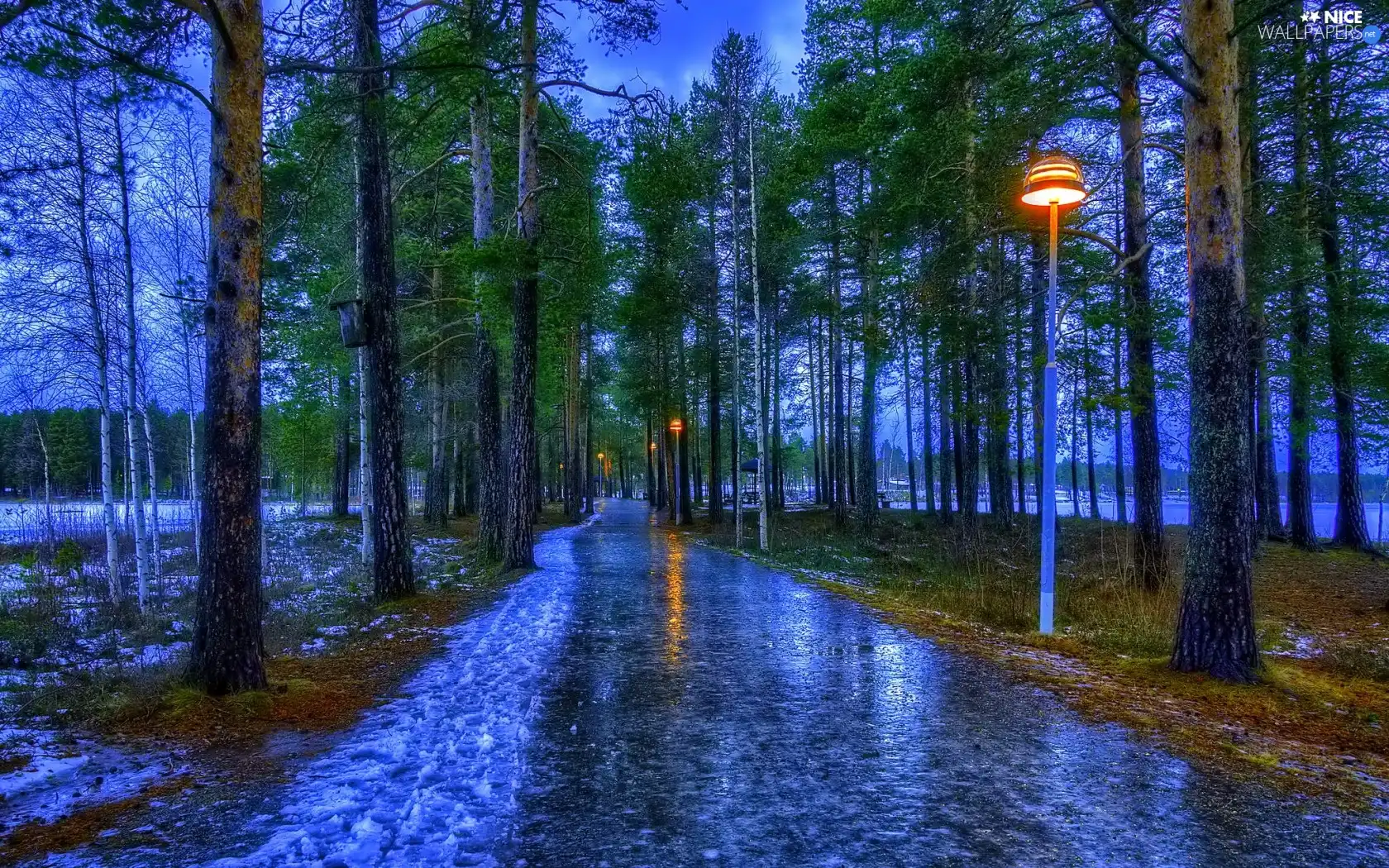 Pavement, Lamps, trees, viewes, Park