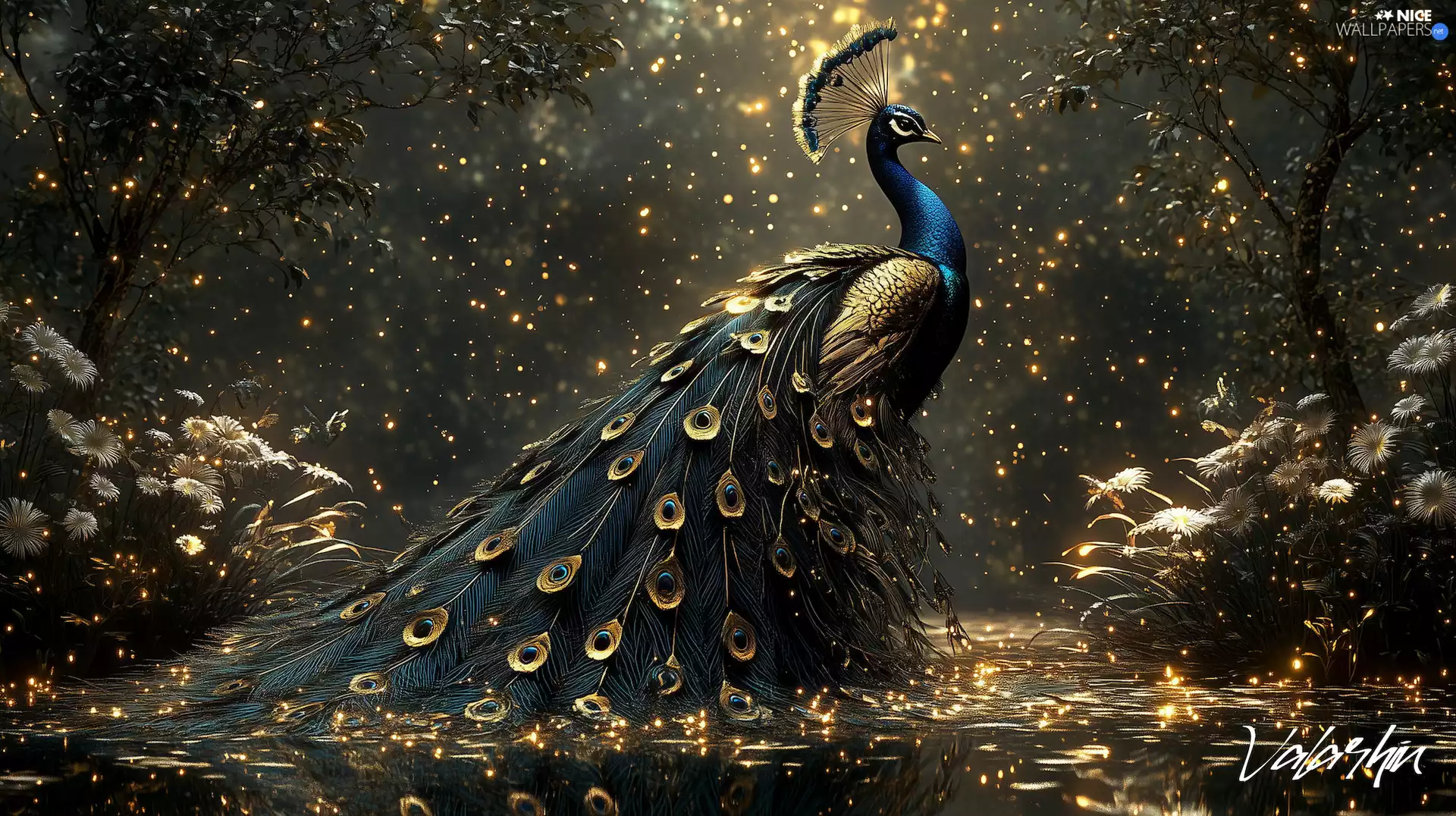 Peacock Eyes, dust, peacock, tail, graphics