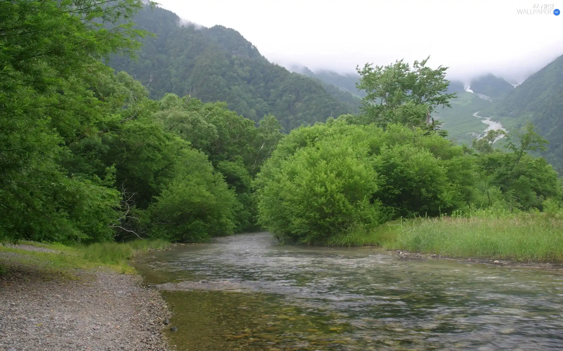 Bush, trees, Mountains, viewes, green ones, peaks, River