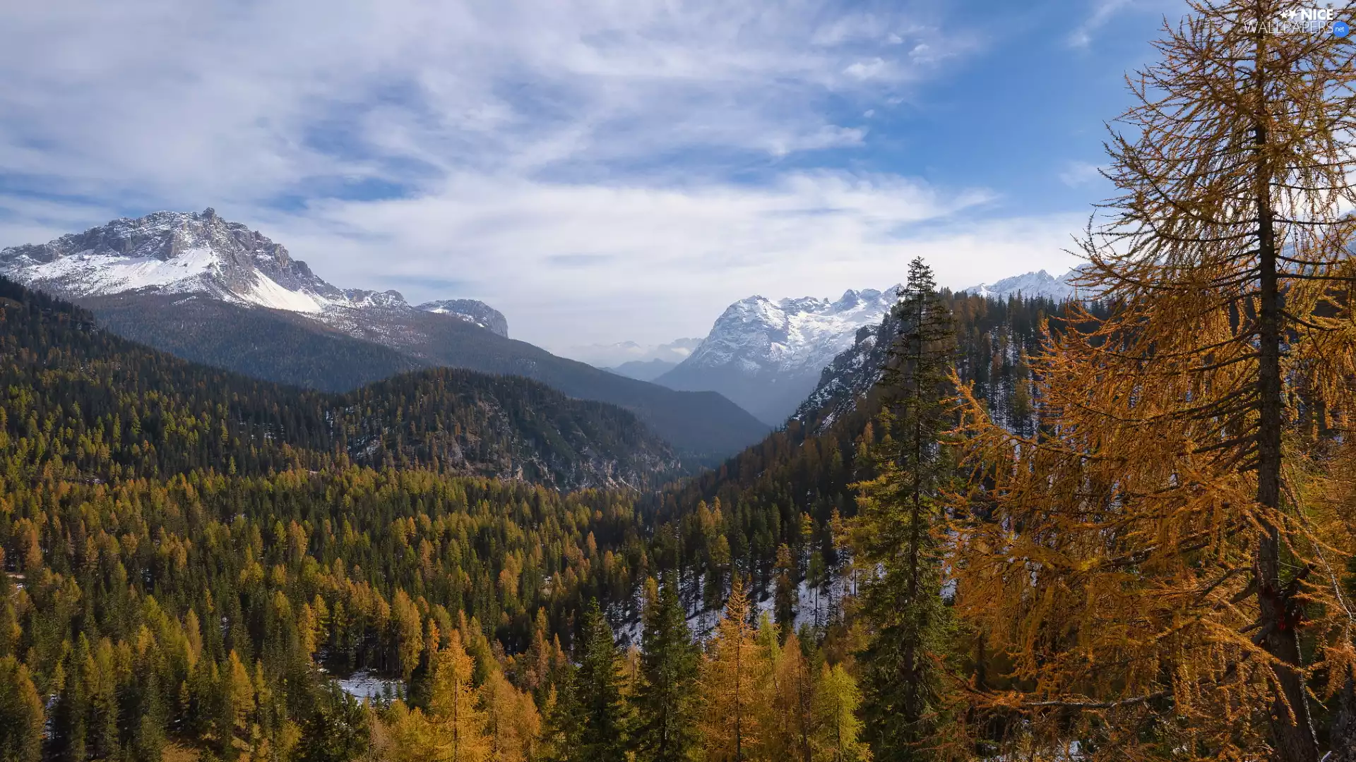 Dolomites, Snowy, woods, Valley, viewes, Italy, South Tyrol, Mountains, peaks, autumn, trees