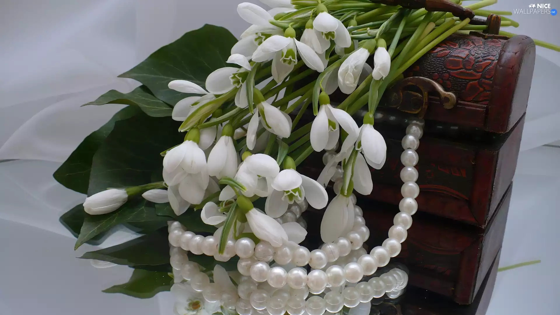 Pearl, snowdrops, trunk