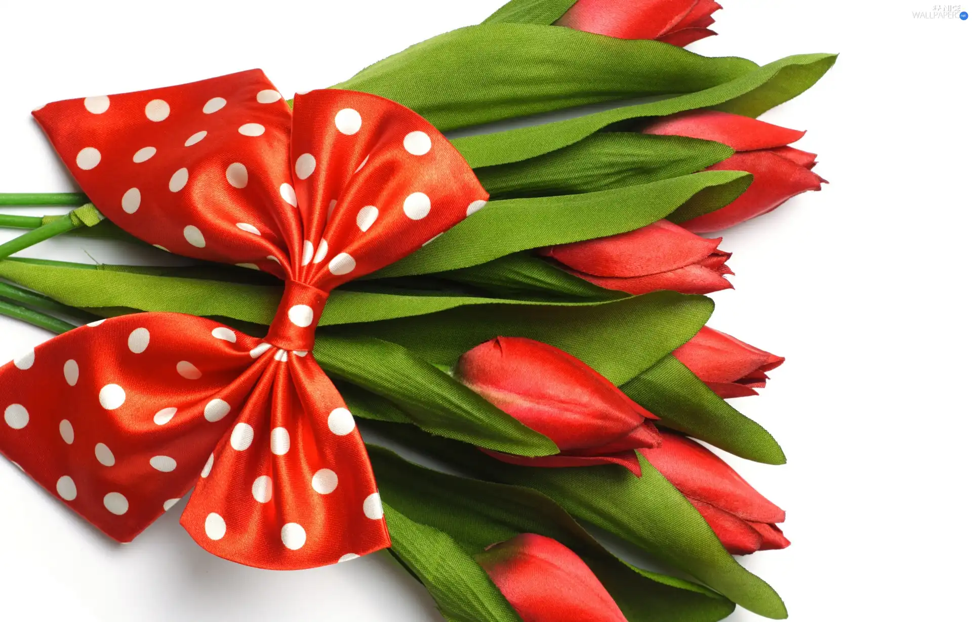 peas, Tulips, ribbon