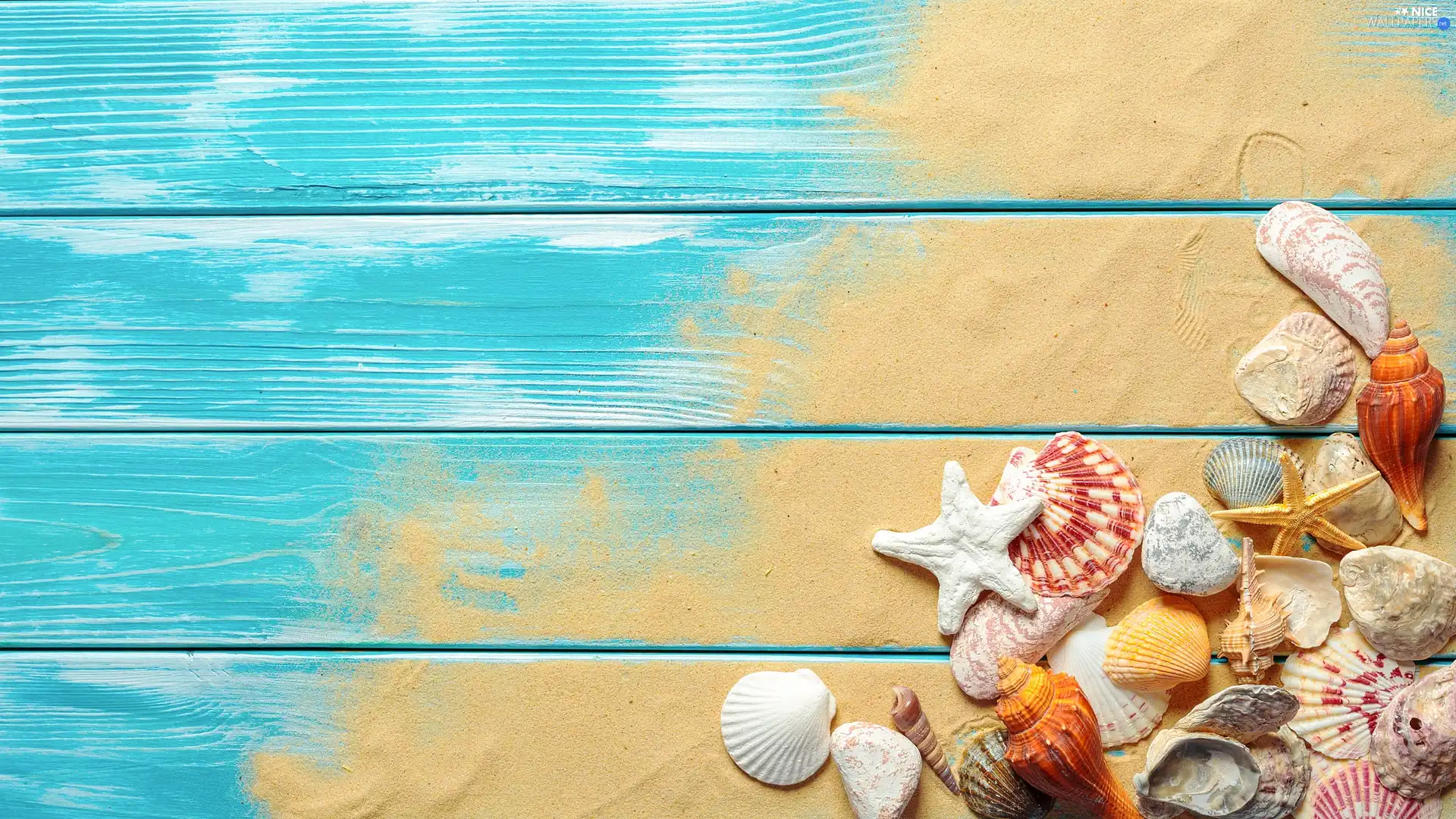 Sand, Shells, boarding, Pebble, starfish, Blue, composition