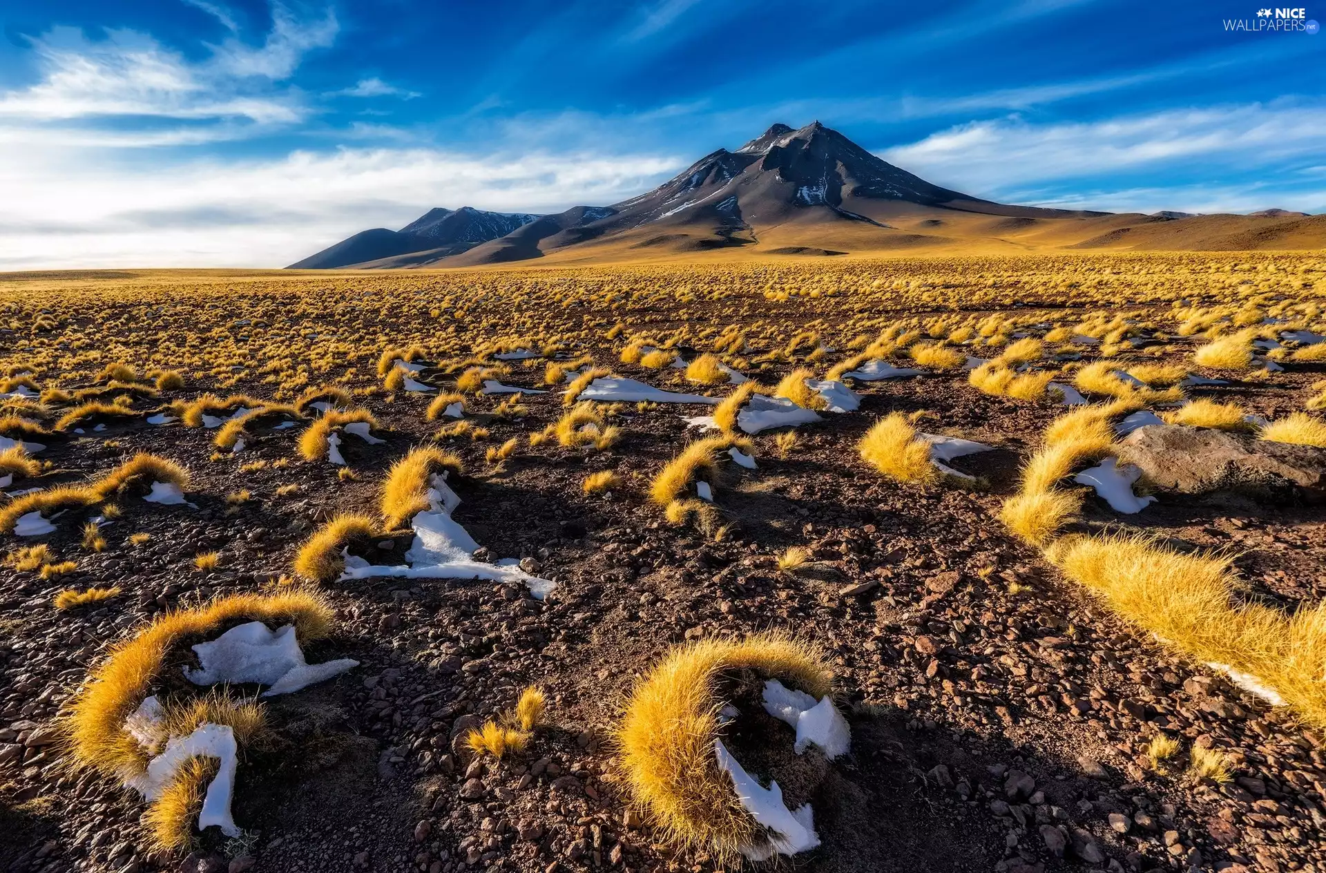 Antofagasta Region, San Pedro de Atacama, Stones, mountains, grass, Atacama Desert, Chile, Tufts