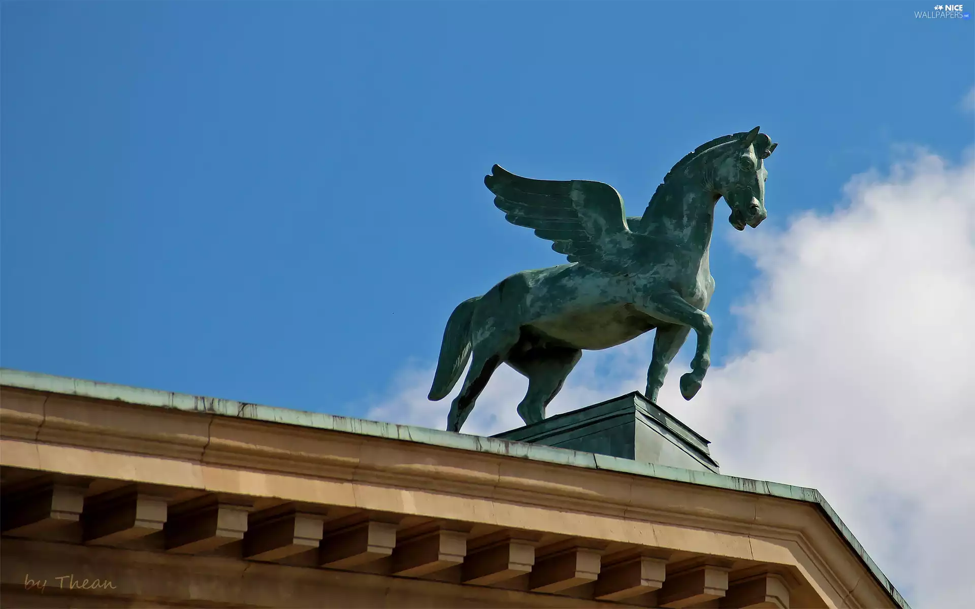 Pegasus, Poznań
