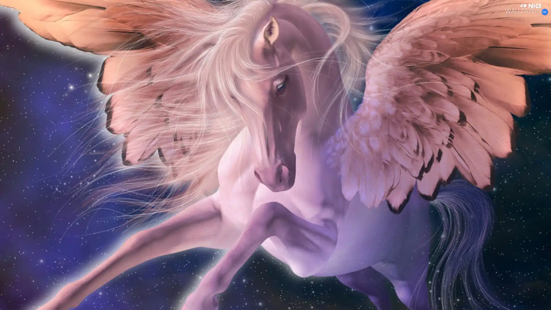 wings, Pegasus