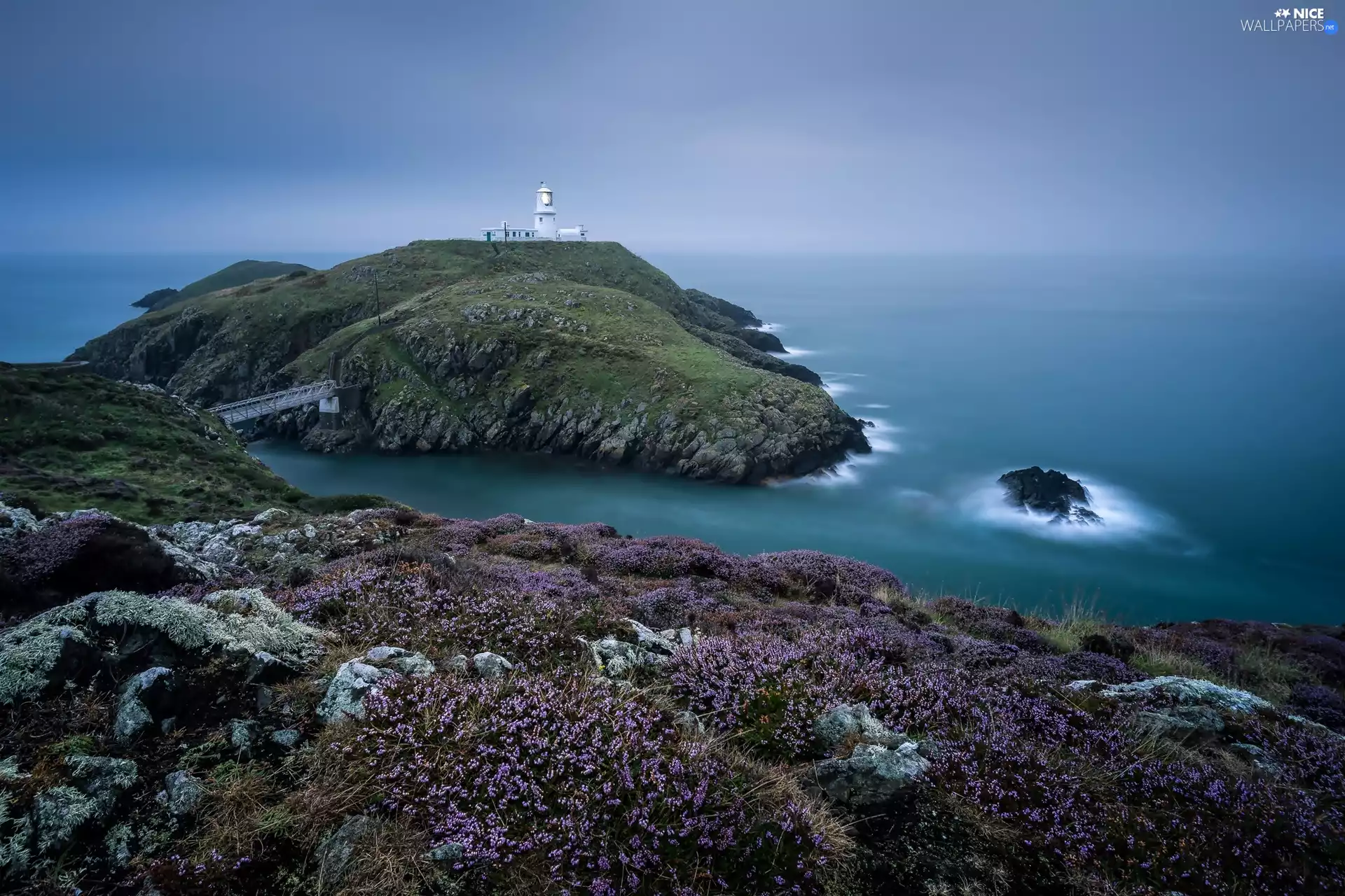 heathers, national, Coast, great, Lighthouse, Park, Pembrokeshire Coast, Britain, wales, maritime