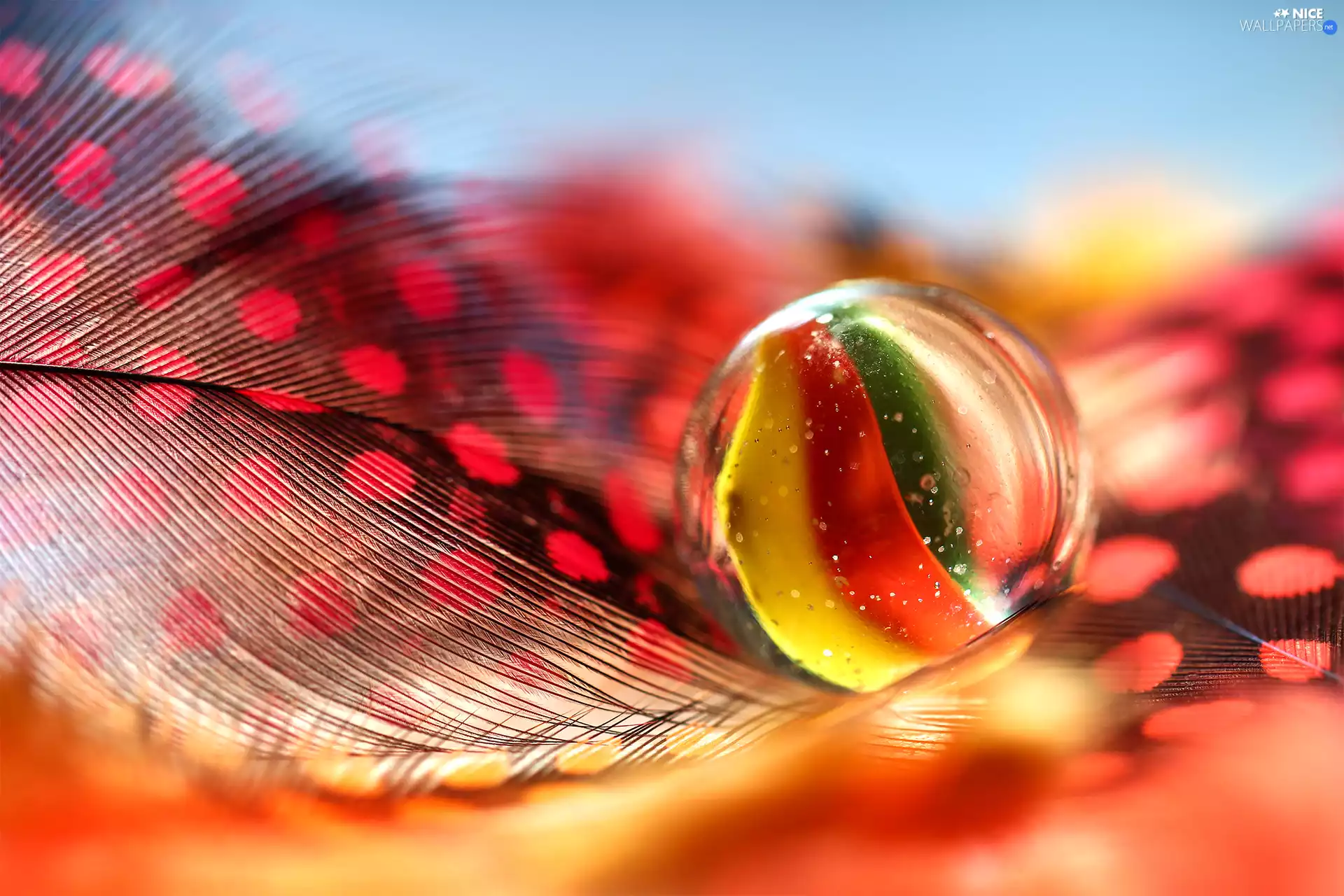 Close, pen, ball, Dunia, Glass