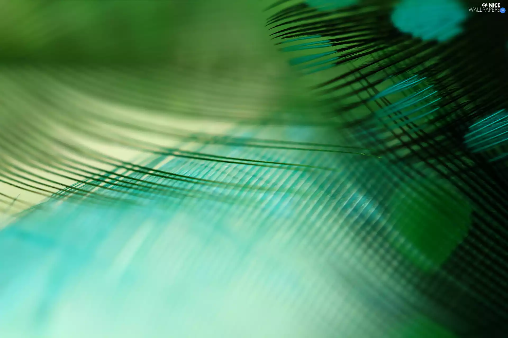 Close, green ones, pen