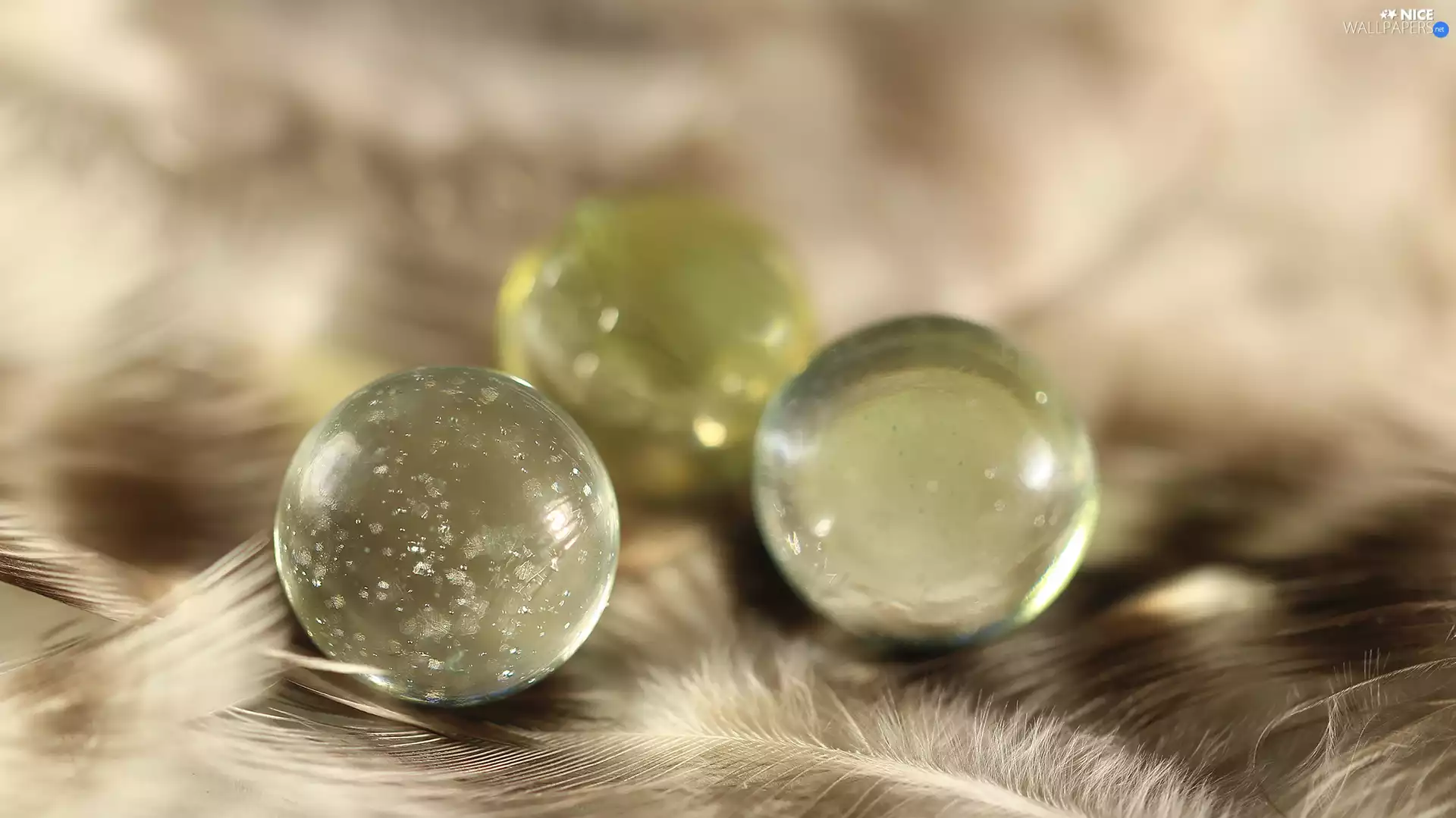 M&Ms balls, pen, Close, glass