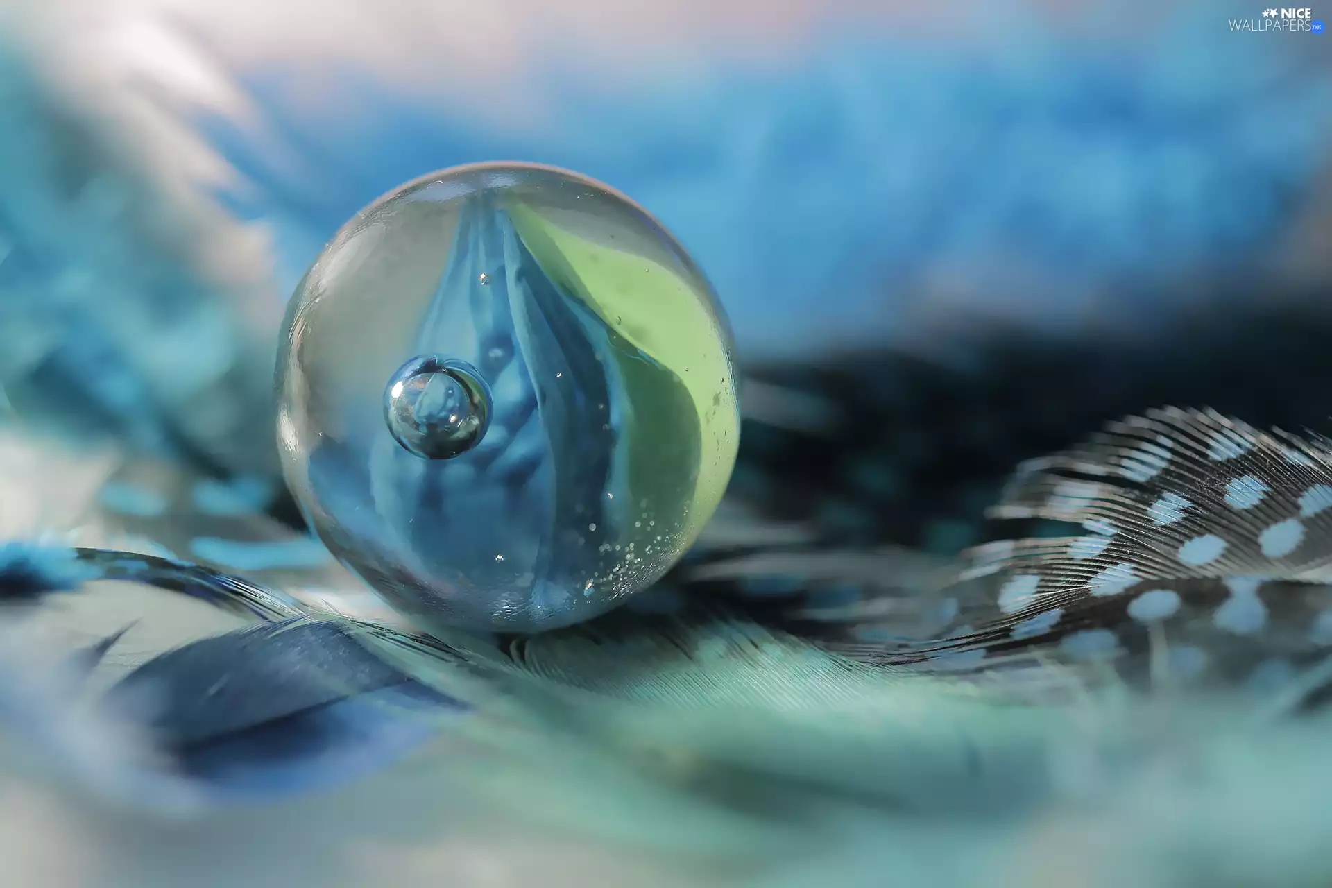 Close, pen, Glass, Dunia, Orb