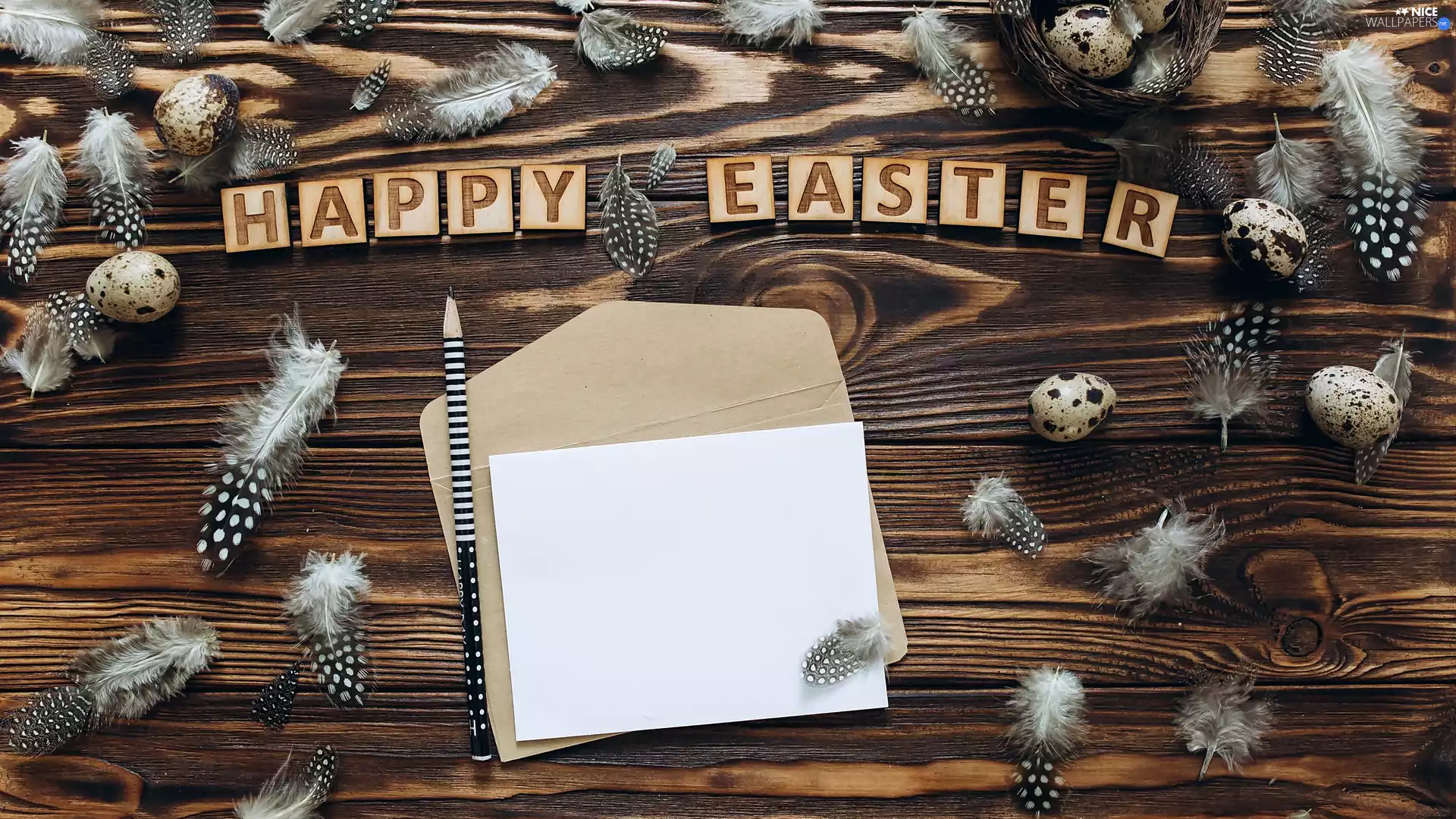 envelope, eggs, Happy Easter, boarding, White, pen, text, Easter, pencil, card