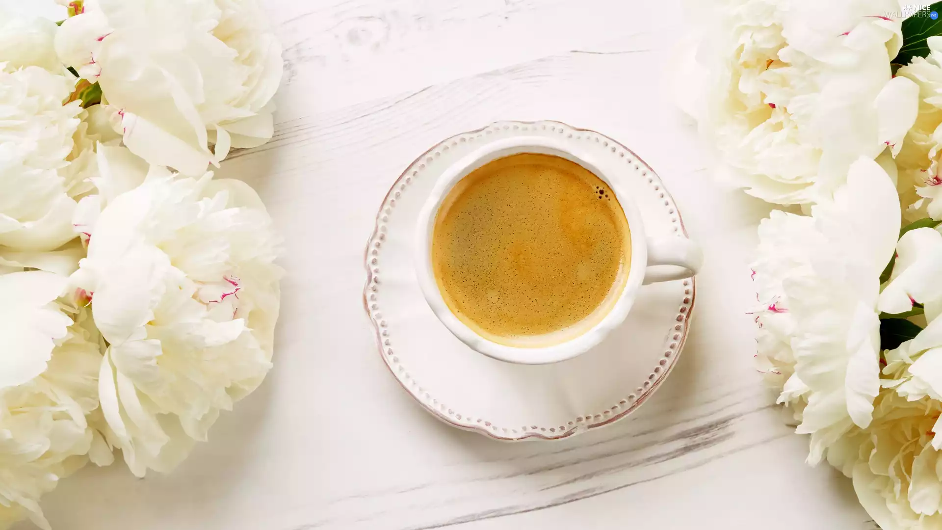 plate, coffee, White, Peonies, Flowers, cup