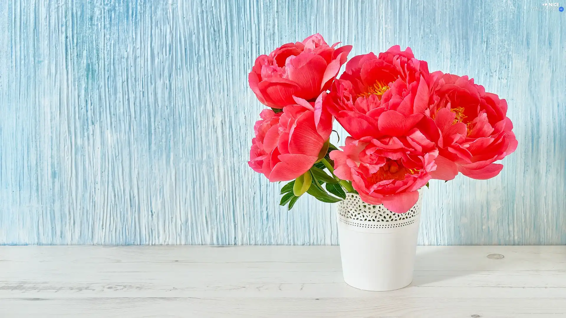 Red, White, Vase, Peonies