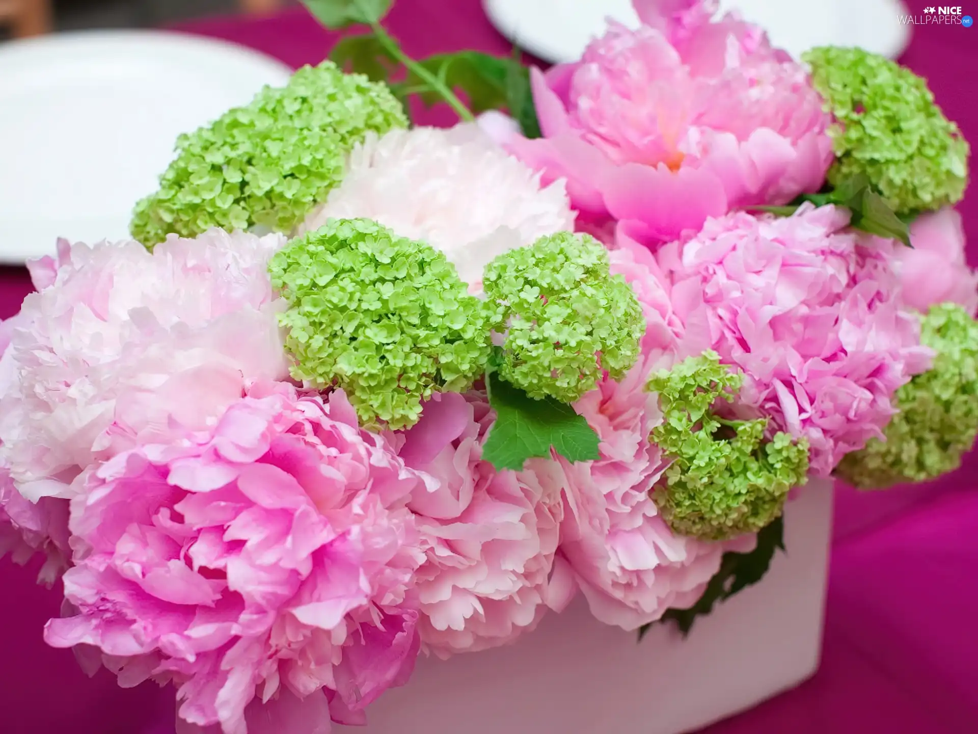 peony, bouquet, pink