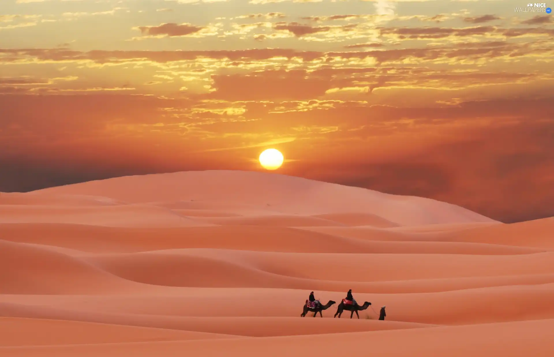 west, Desert, People, sun