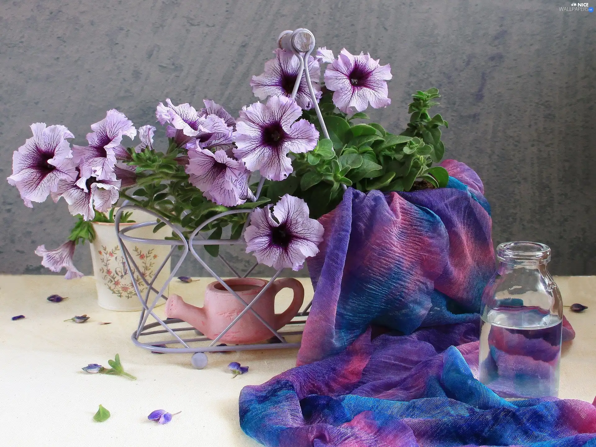 Flowers, petunias