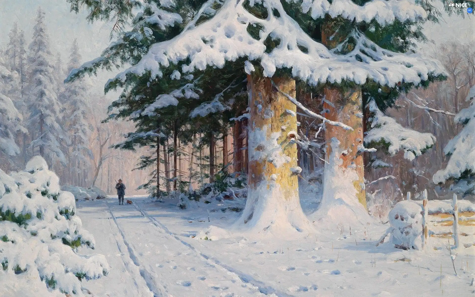 forest, hunter, picture, winter