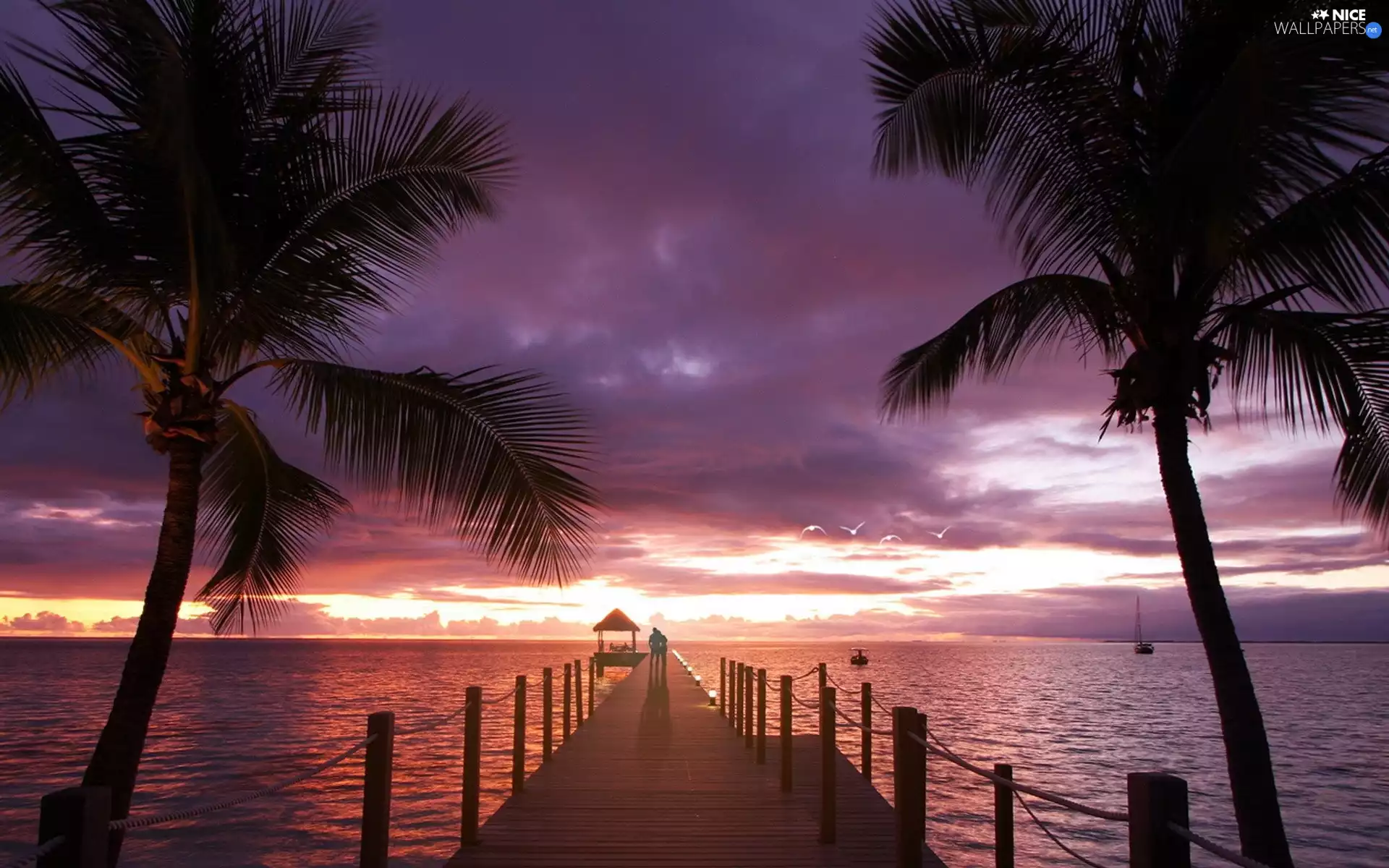 Palms, pier, west, sun, sea