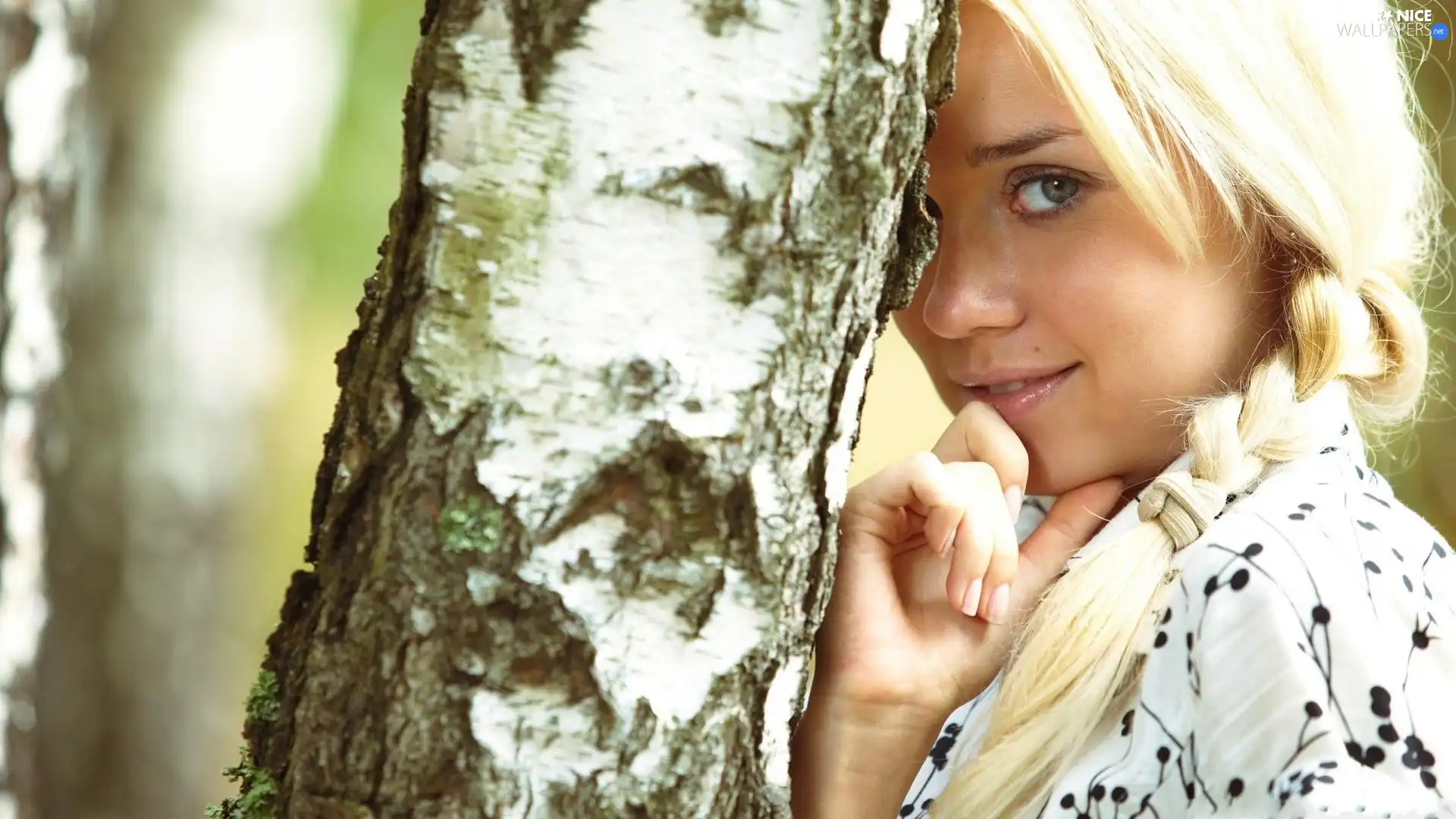 trees, girl, pigtail, birch-tree