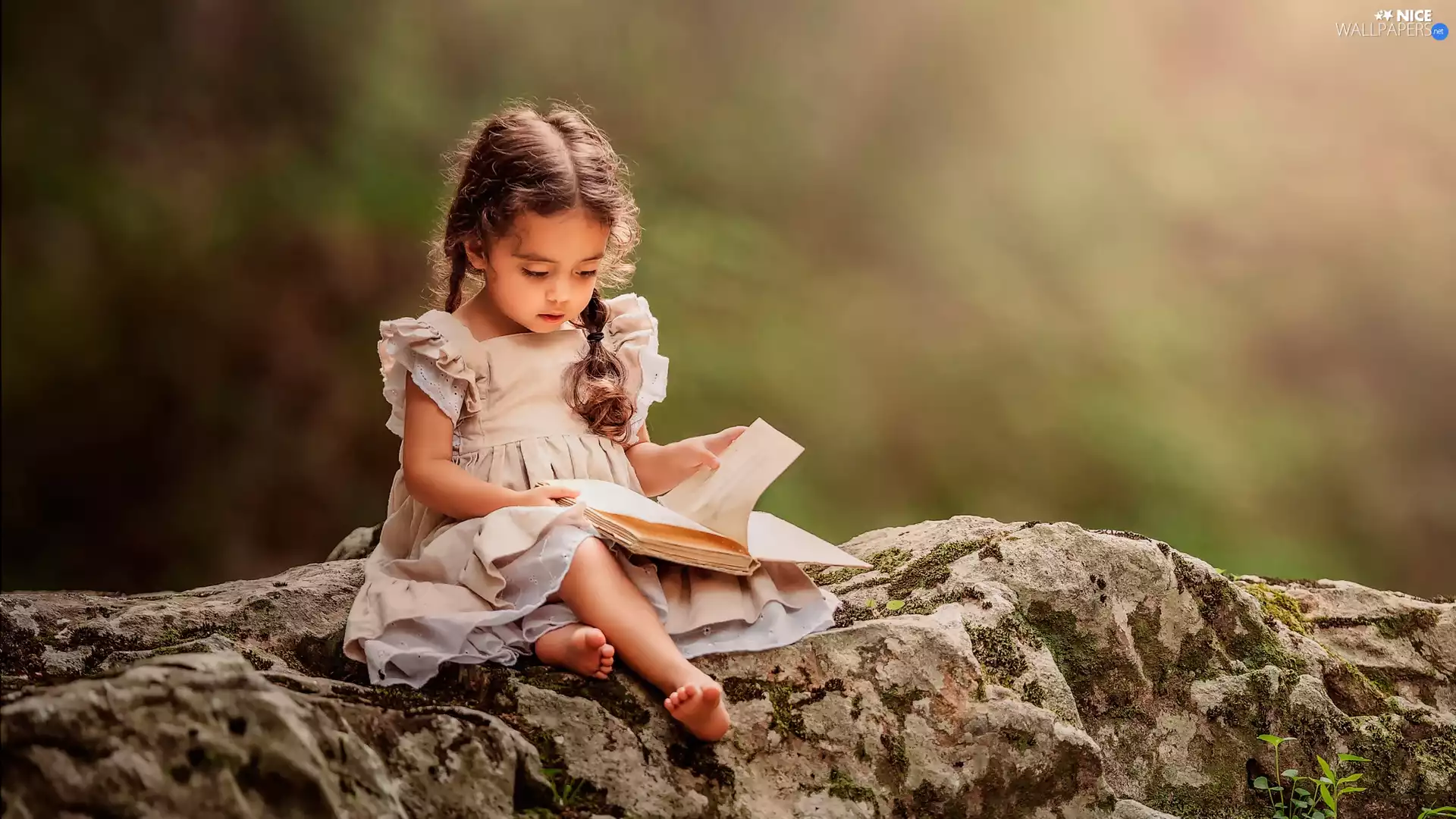 girl, Book, Stone, pigtail