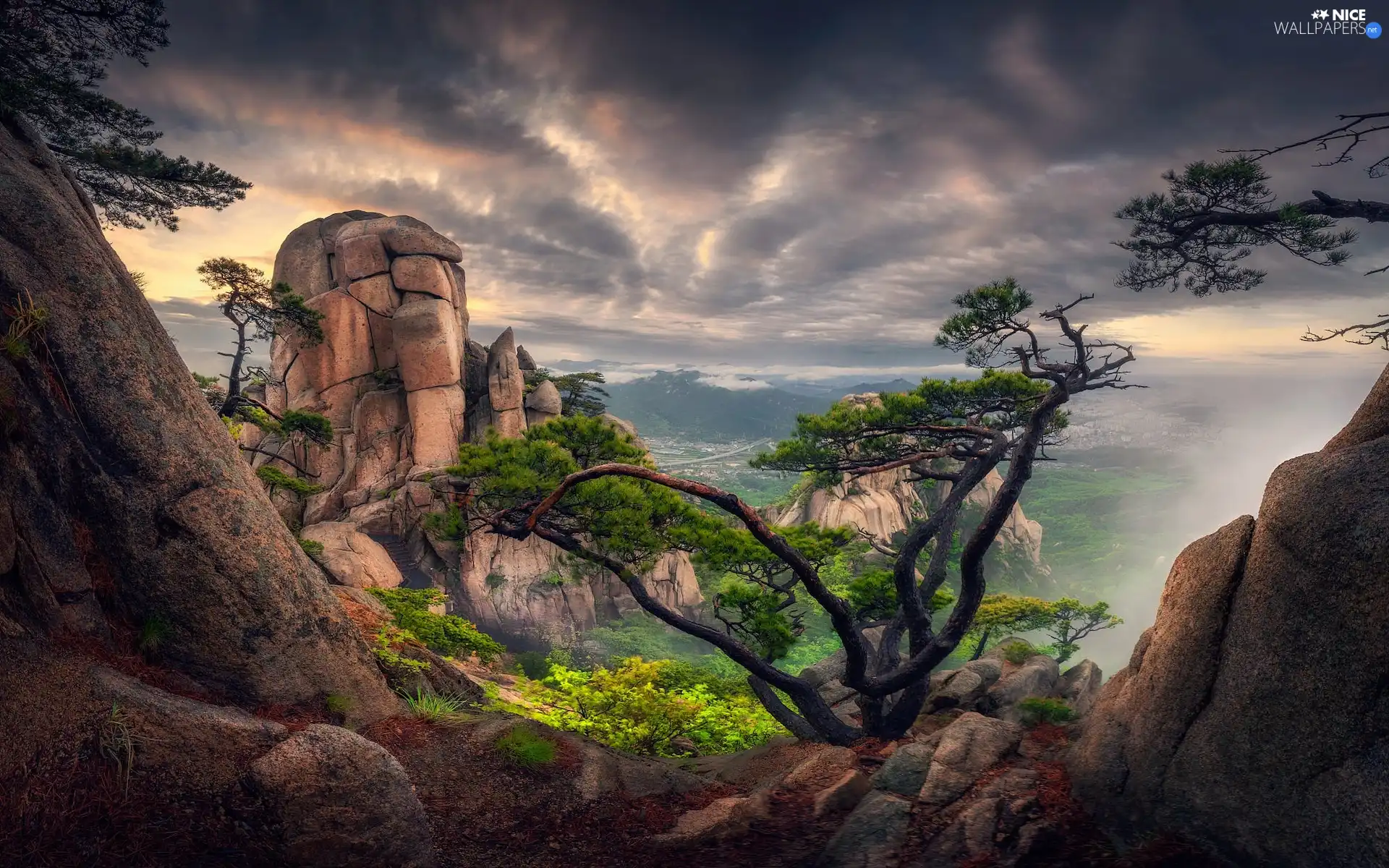 trees, rocks, clouds, pine, viewes, Mountains
