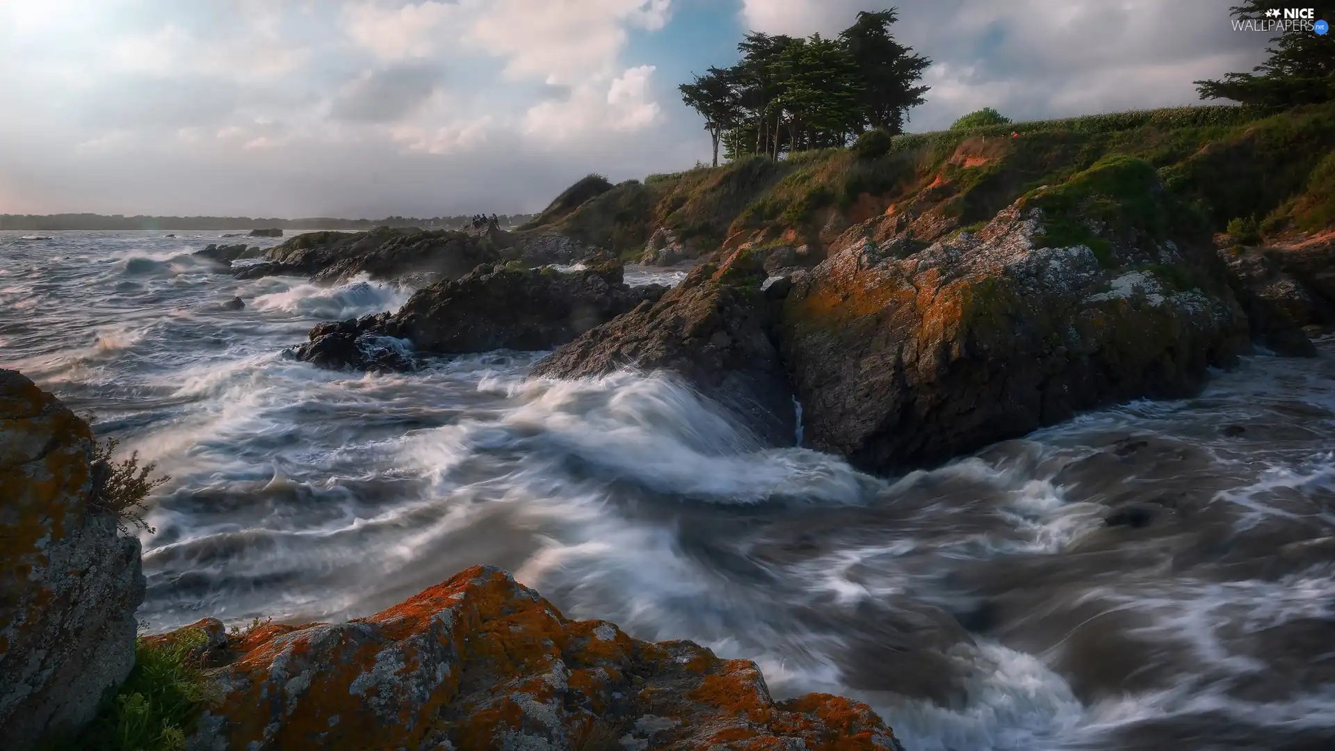 viewes, pine, rocks, trees, River