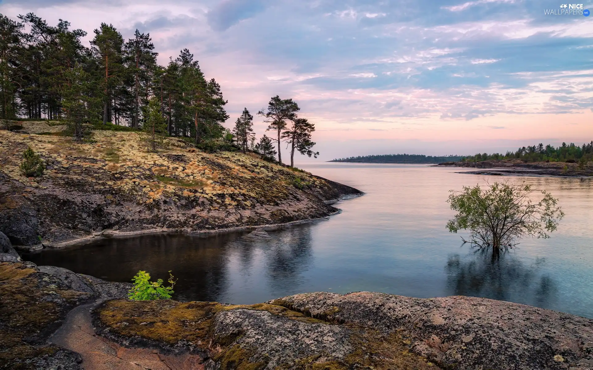 rocks, lake, viewes, pine, trees, scarp