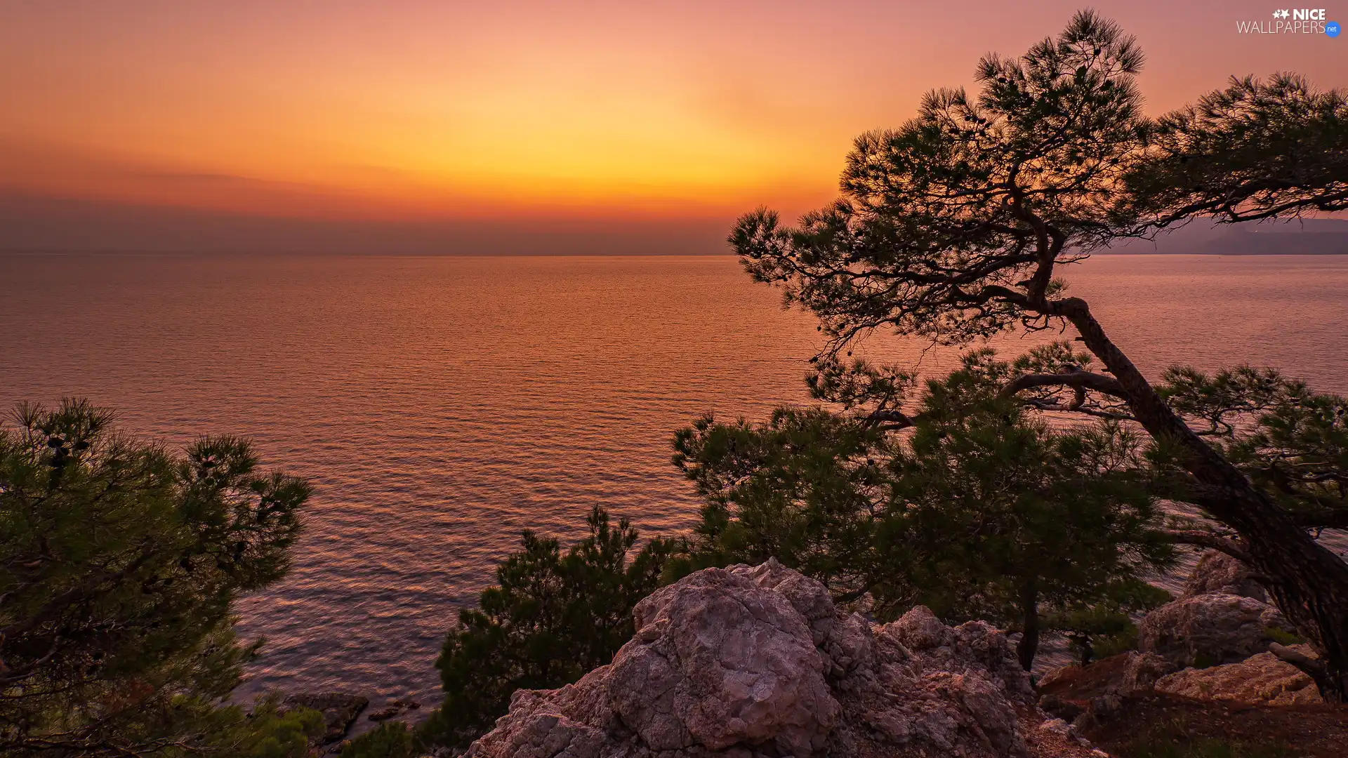 Rocks, sea, viewes, pine, trees, Great Sunsets