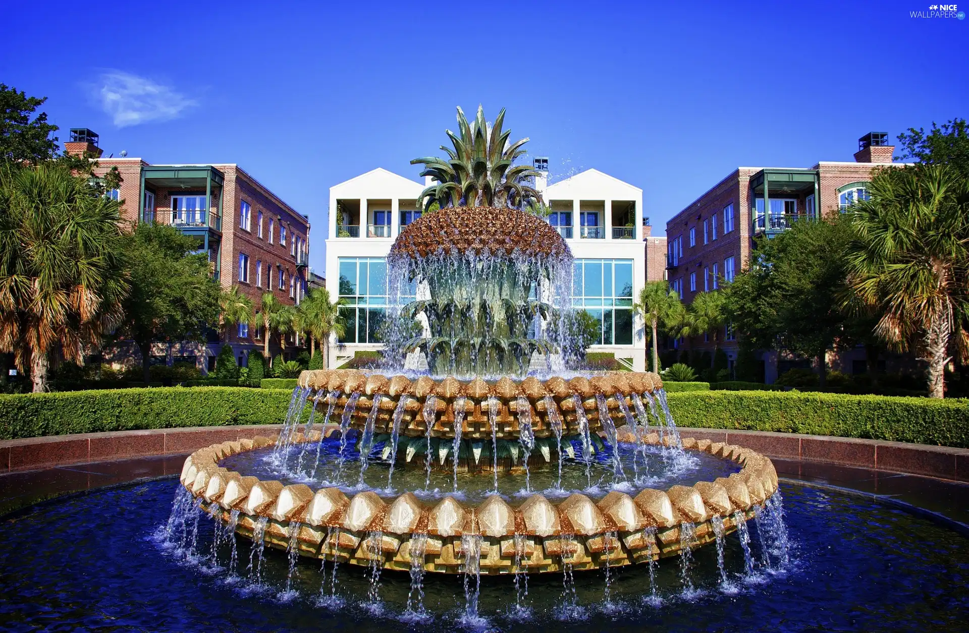 pineapple, buildings, ##, Shape, fountain