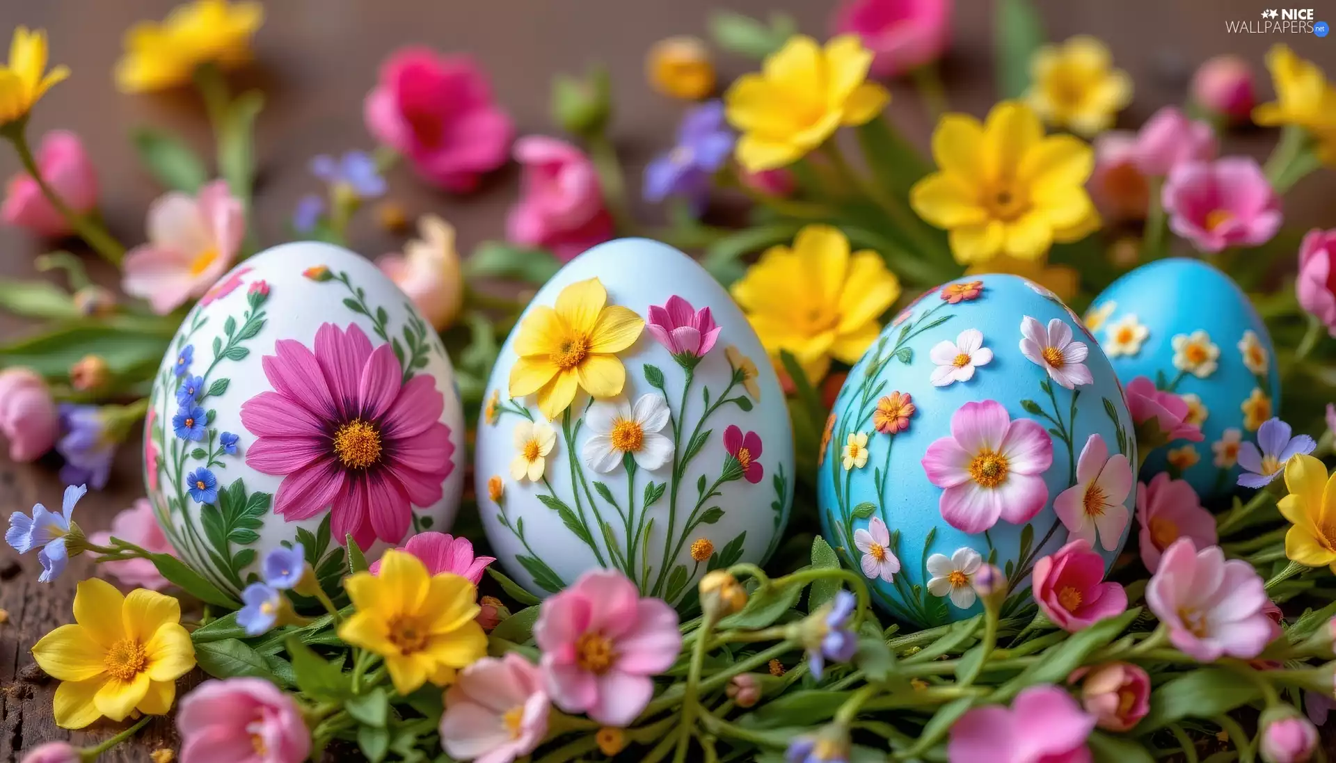 eggs, Easter, Yellow, Pink, Flowers, color