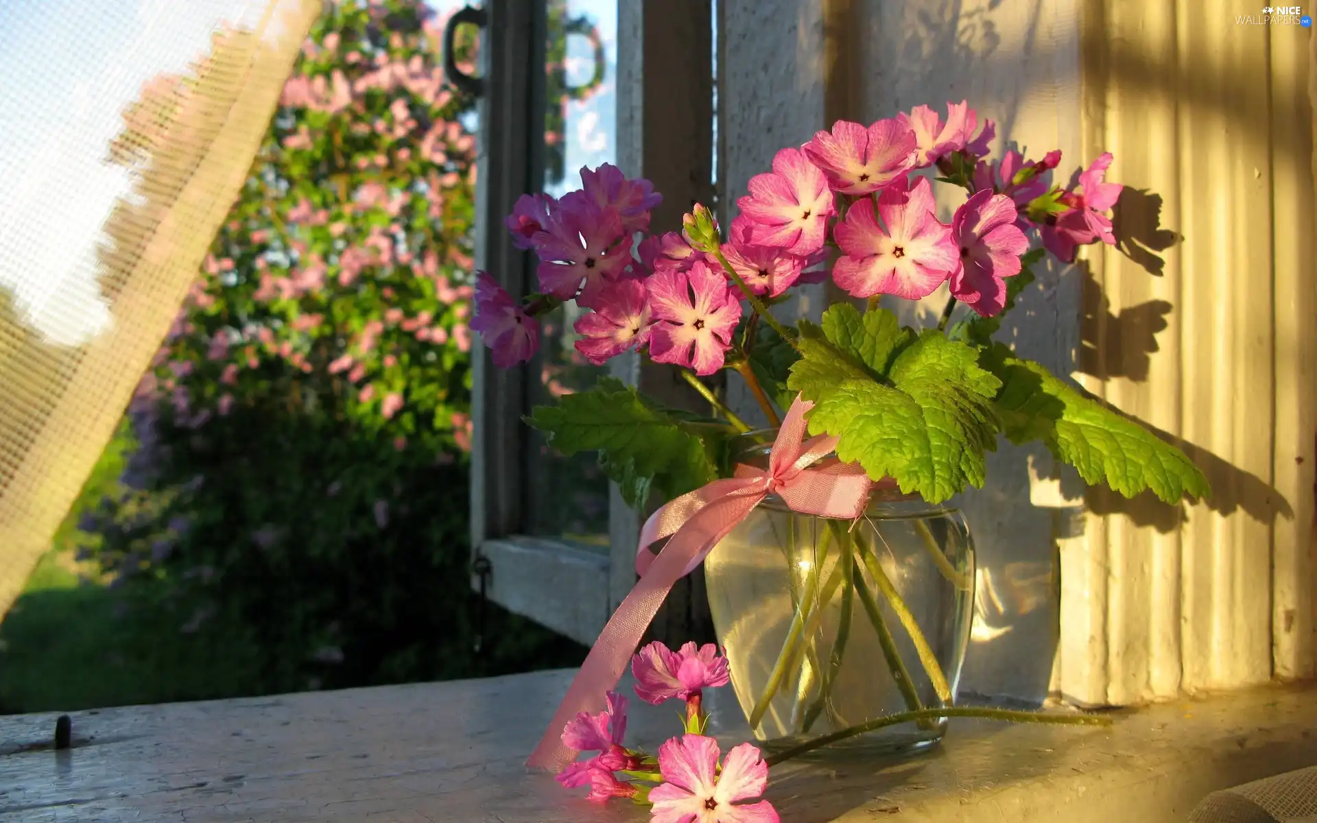 pink, flowers, Vase, bouquet, Window