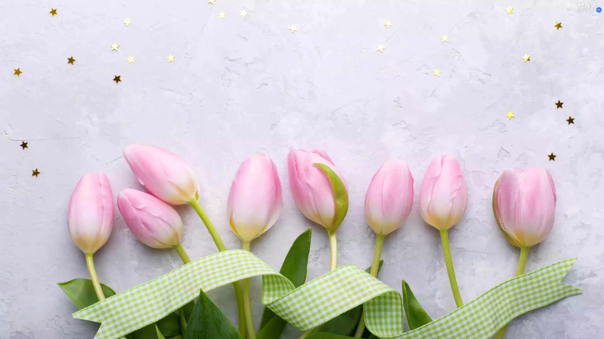 pale pink, Stars, ribbon, Tulips