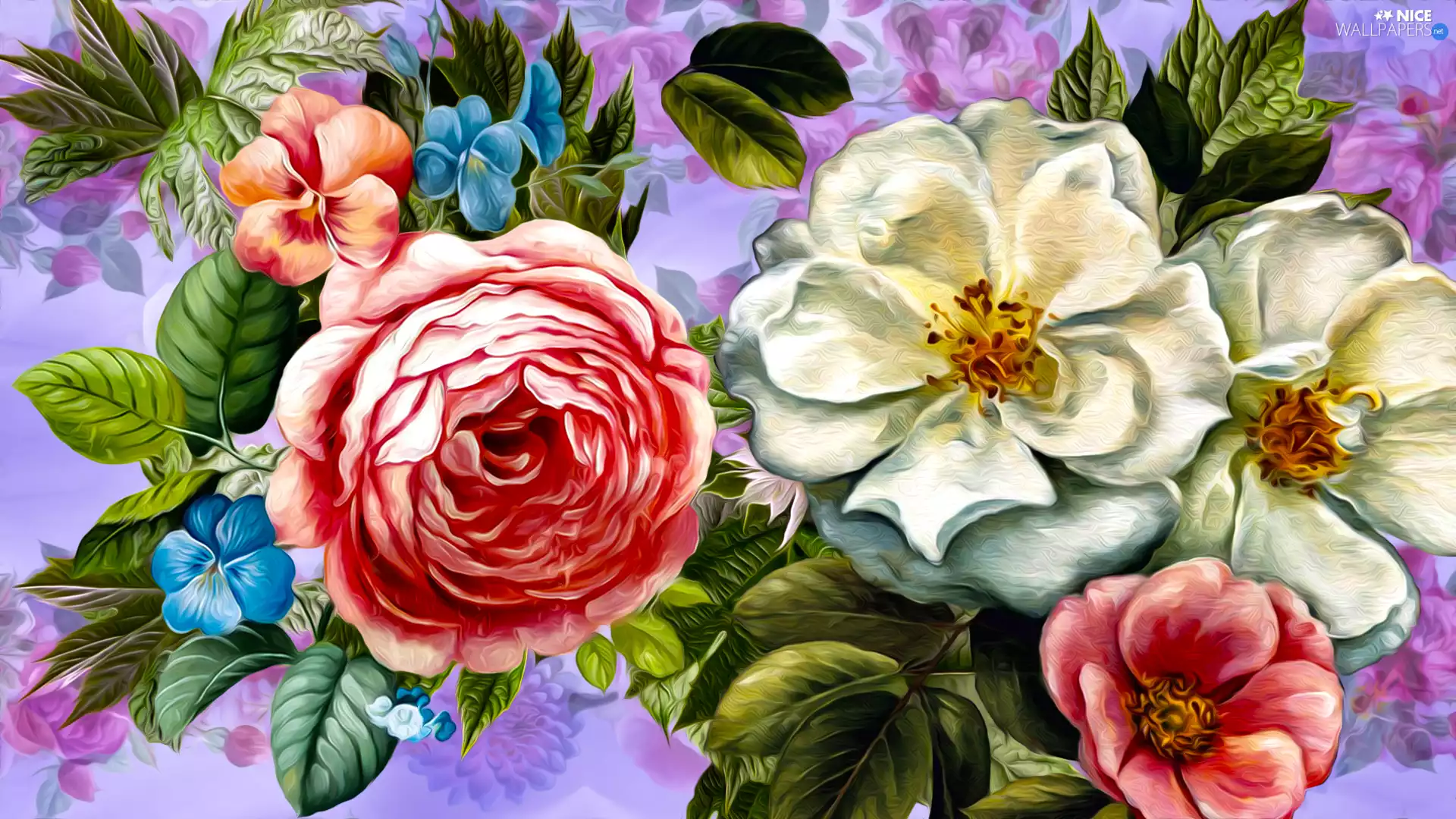 White, Flowers, graphics, Pink