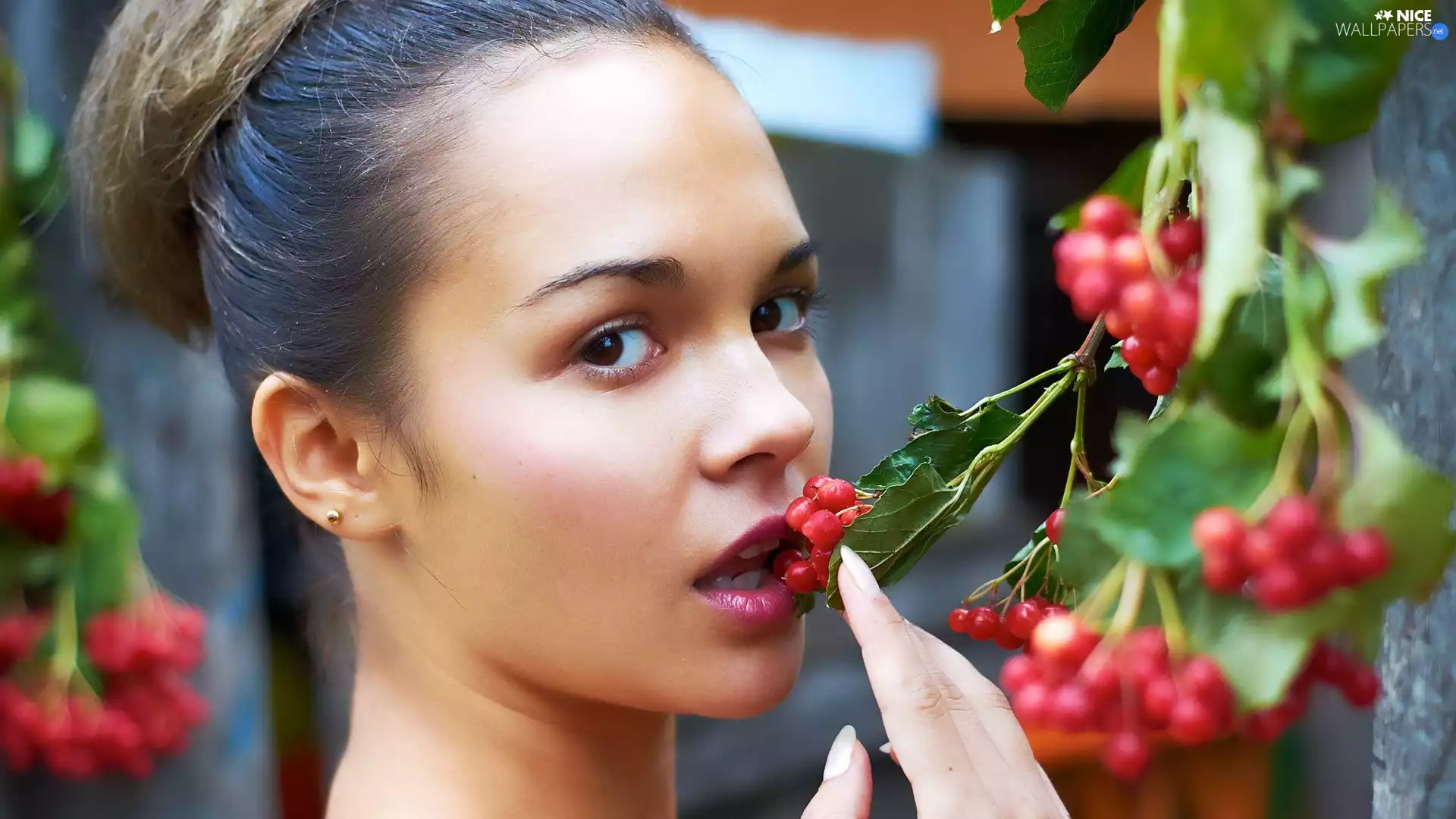 Plant, Beauty, brunette