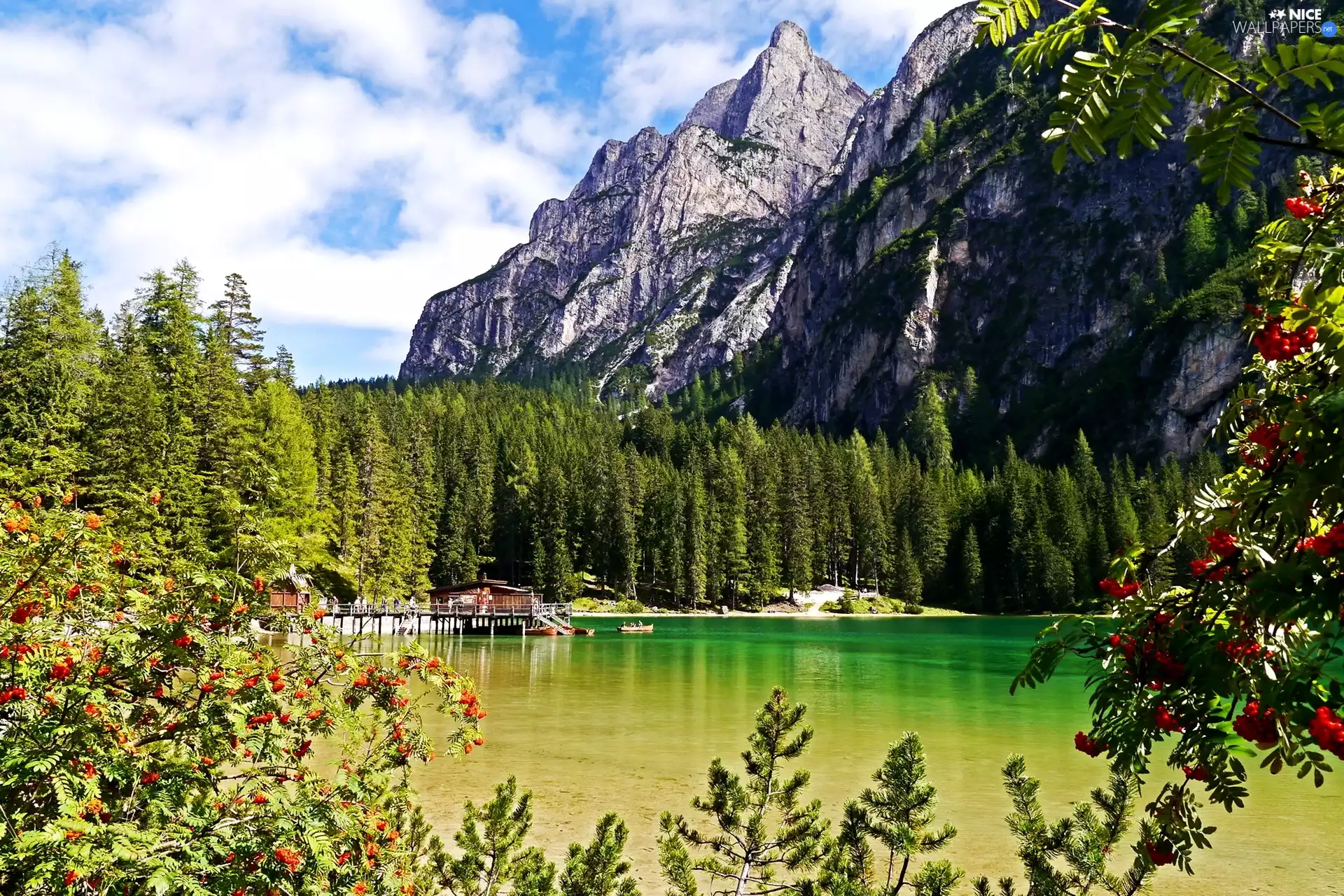 viewes, Plant, Mountains, trees, lake