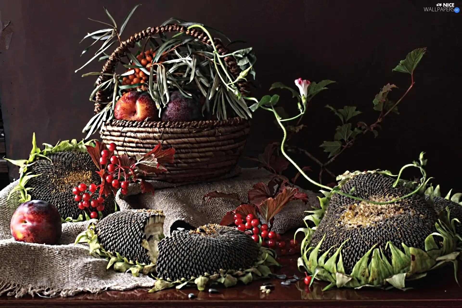 Nice sunflowers, basket, Plant