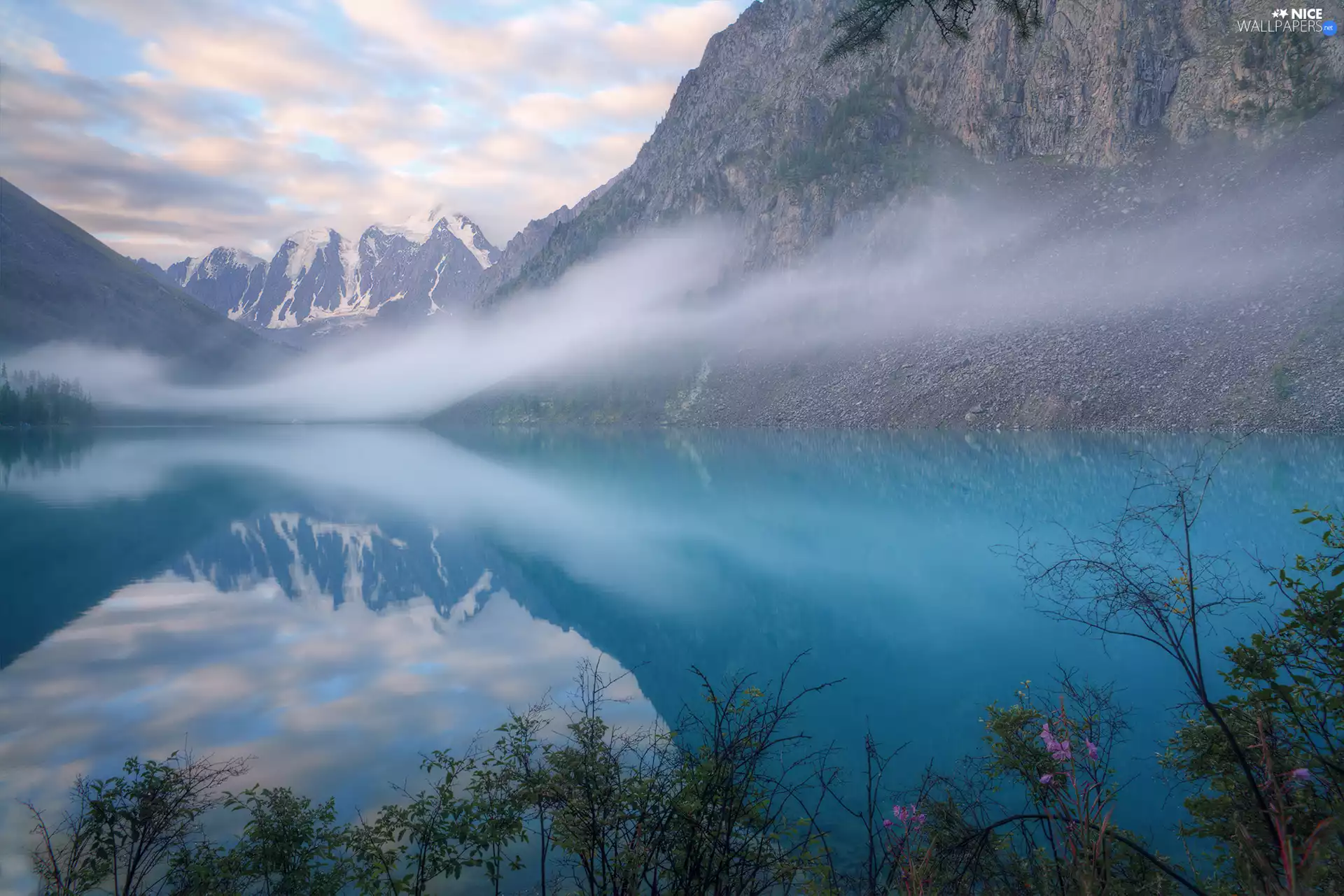 Plants, Szawlinskie Lake, Altai Republic, Russia, Altai Mountains, Fog
