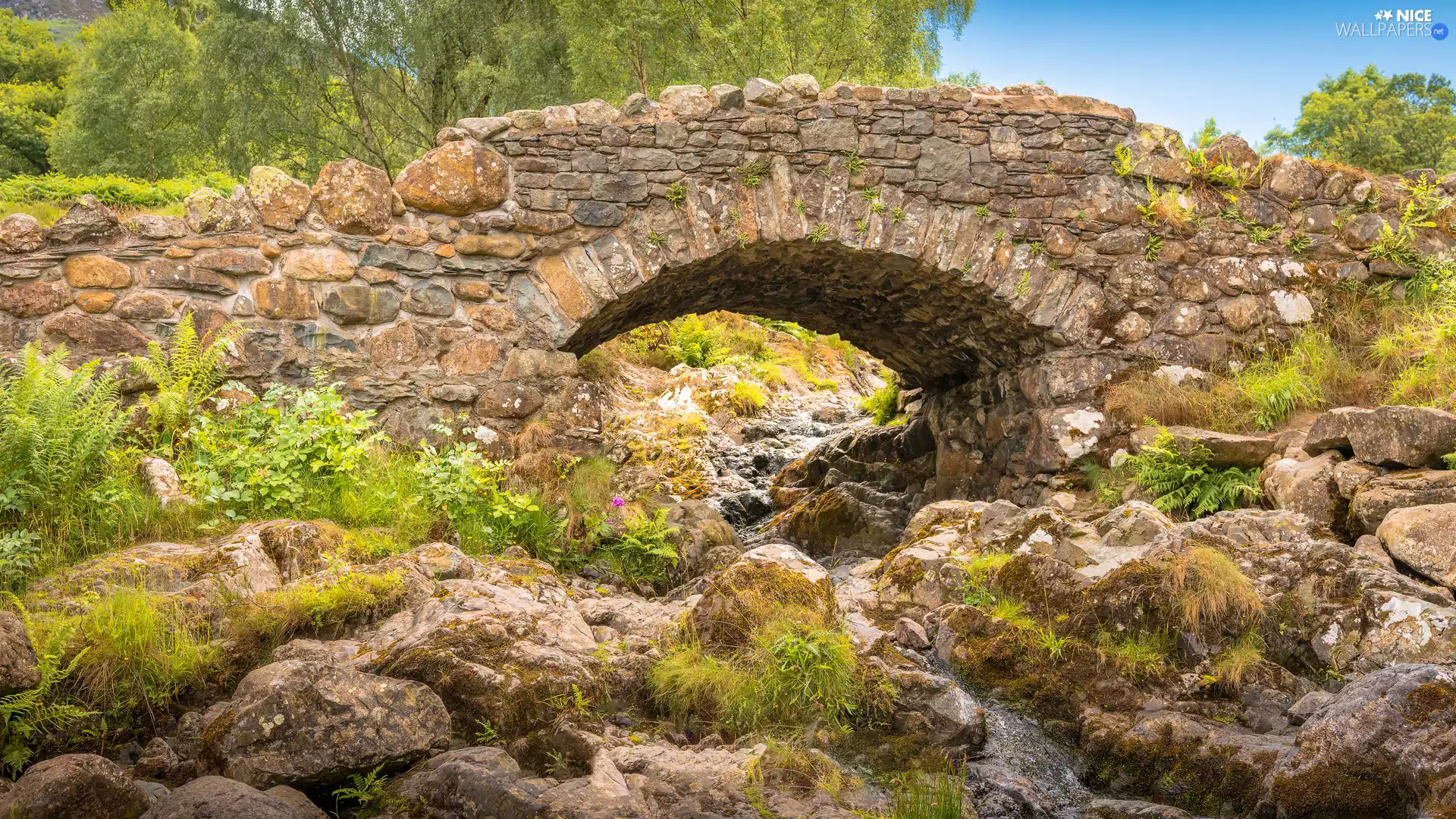 River, Plants, bridge, Stones, stone