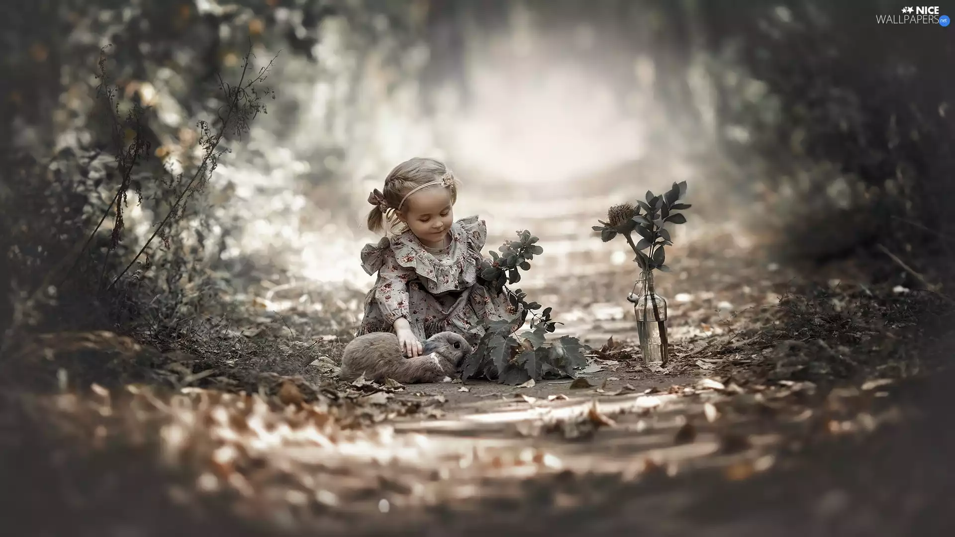 Bottle, Plants, Bunny, Way, girl