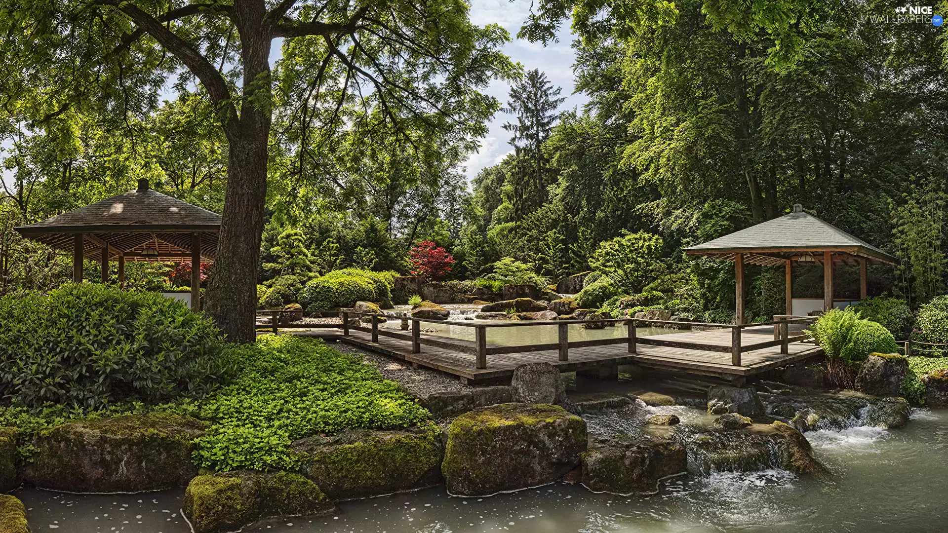 Platform, Pond - car, viewes, arbour, Garden, trees, Plants