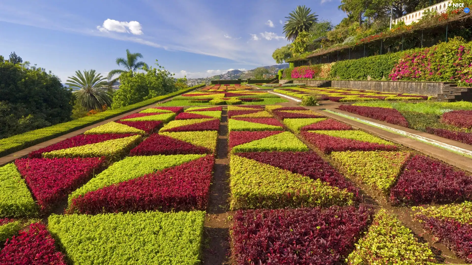 Gardens, Red, Plants, green