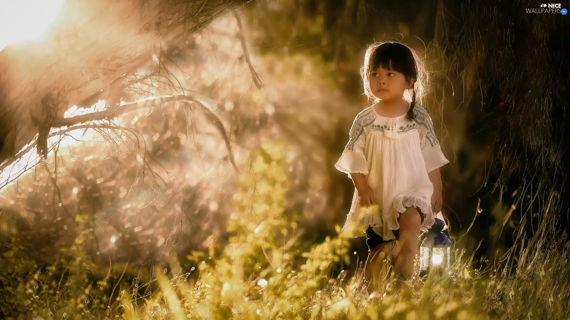 Meadow, Plants, girl, lantern, Kid